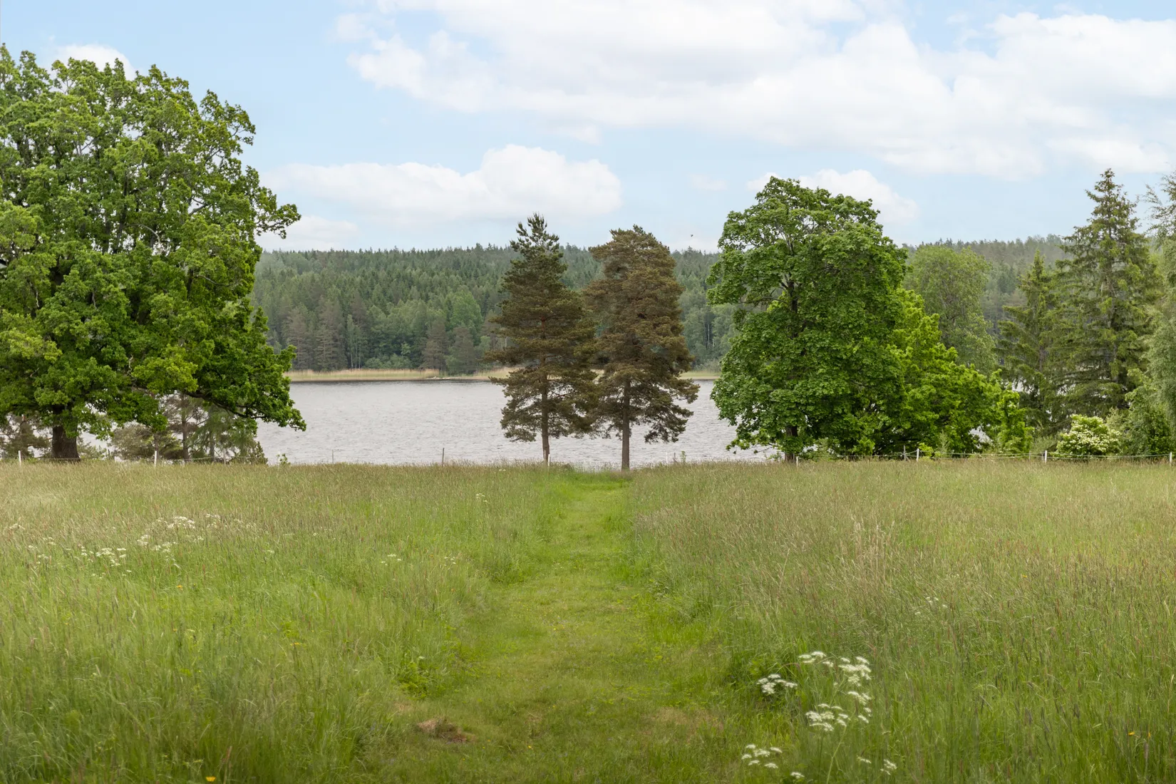 Gård/Skog, Svedenäs herrgård 230, Svedenäs, Karlstad