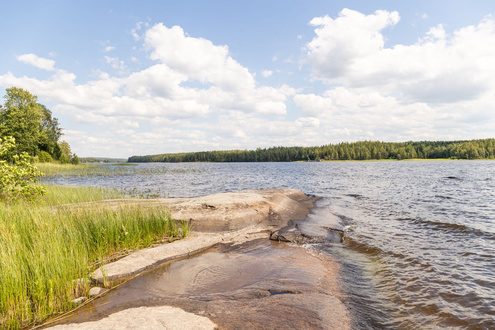 Gård/Skog, Svedenäs herrgård 230, Svedenäs, Karlstad