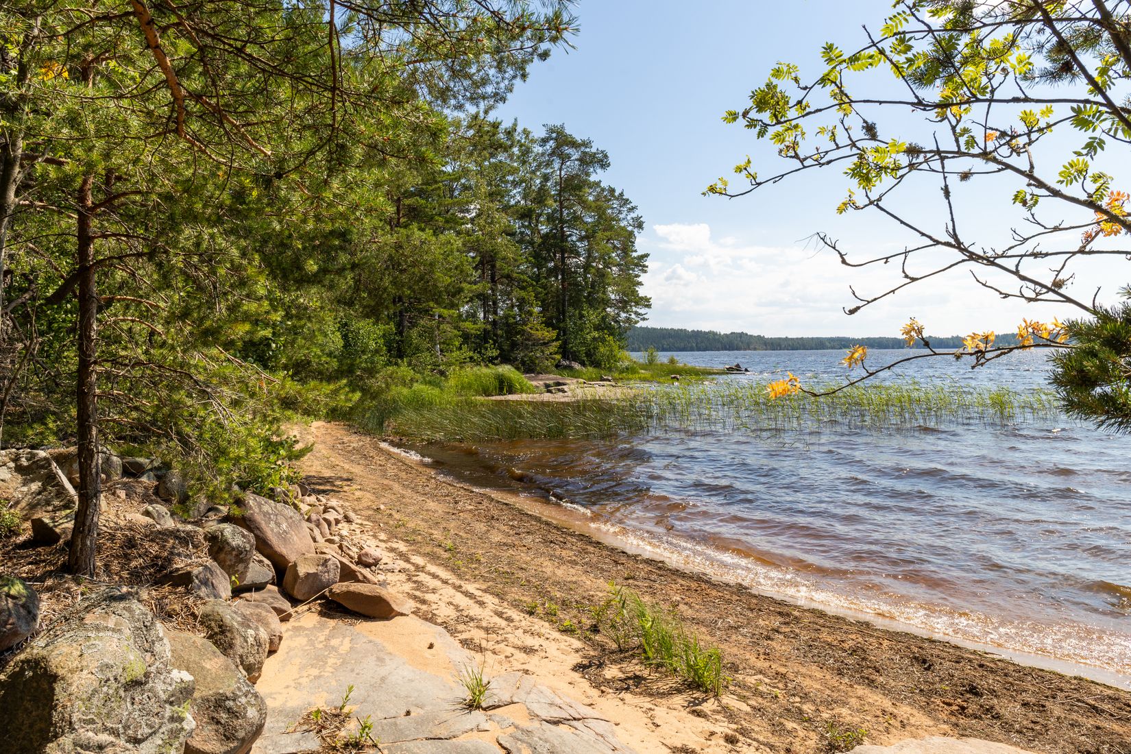 Gård/Skog, Svedenäs herrgård 230, Svedenäs, Karlstad