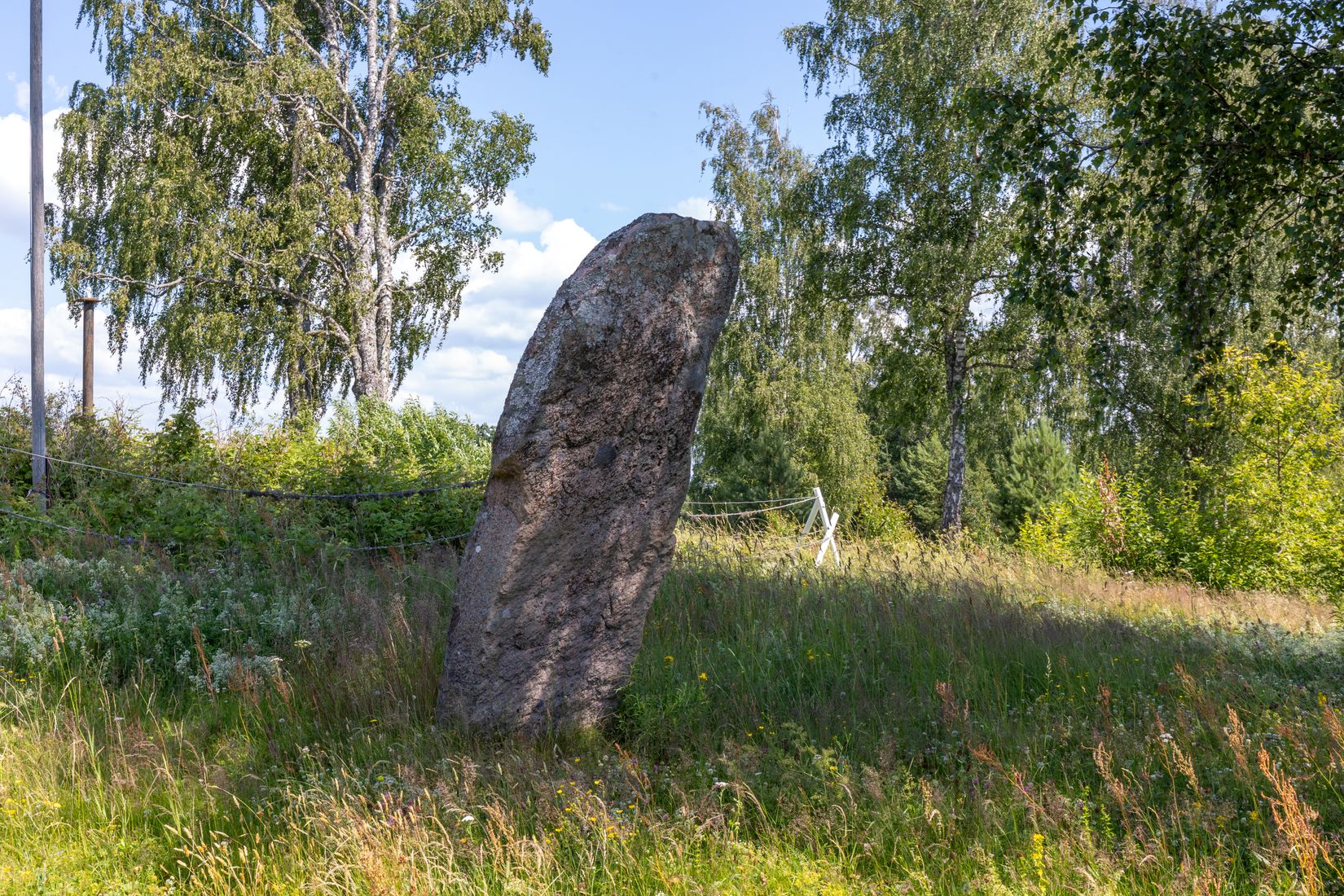 Gård/Skog, Svedenäs herrgård 230, Svedenäs, Karlstad