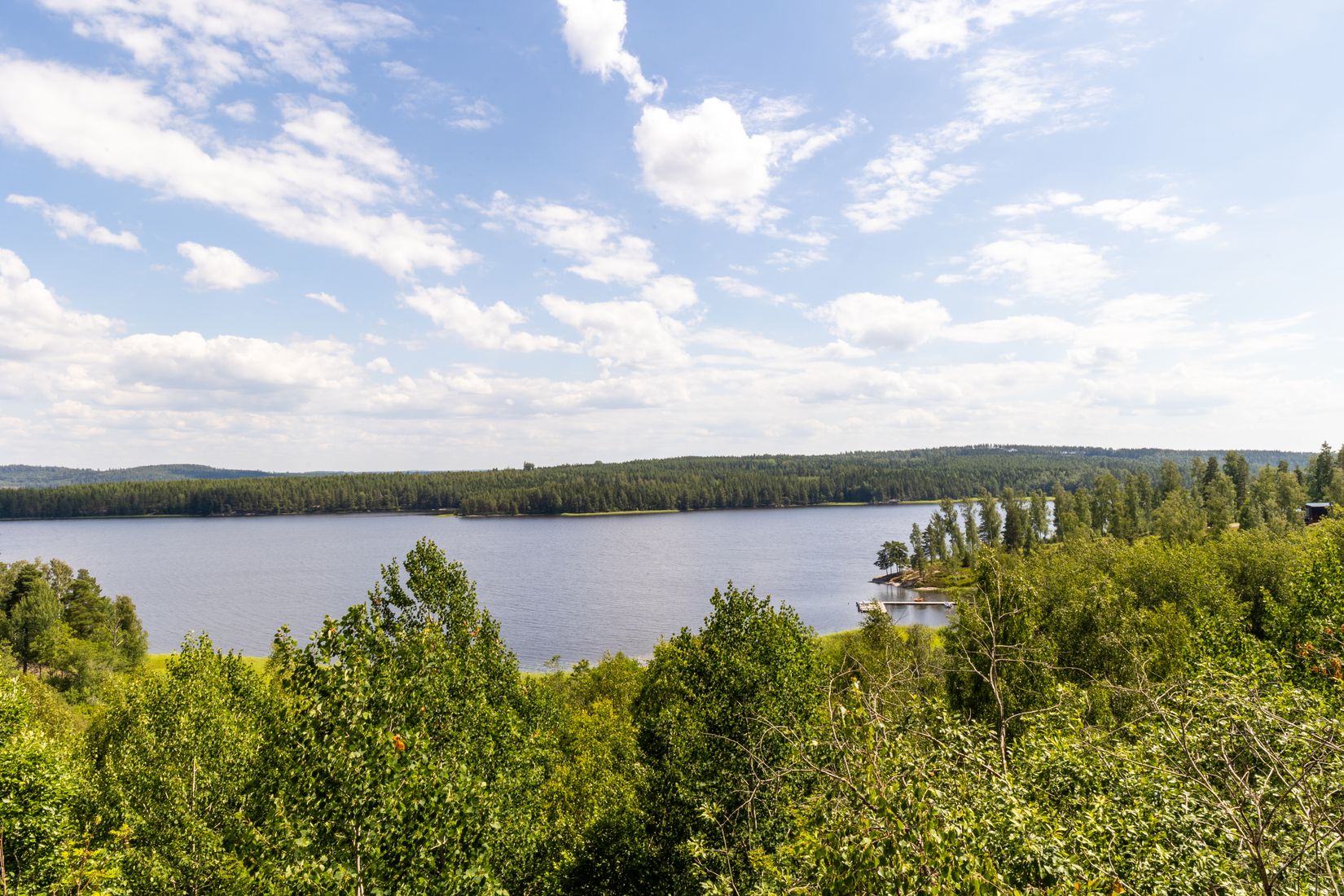 Gård/Skog, Svedenäs herrgård 230, Svedenäs, Karlstad