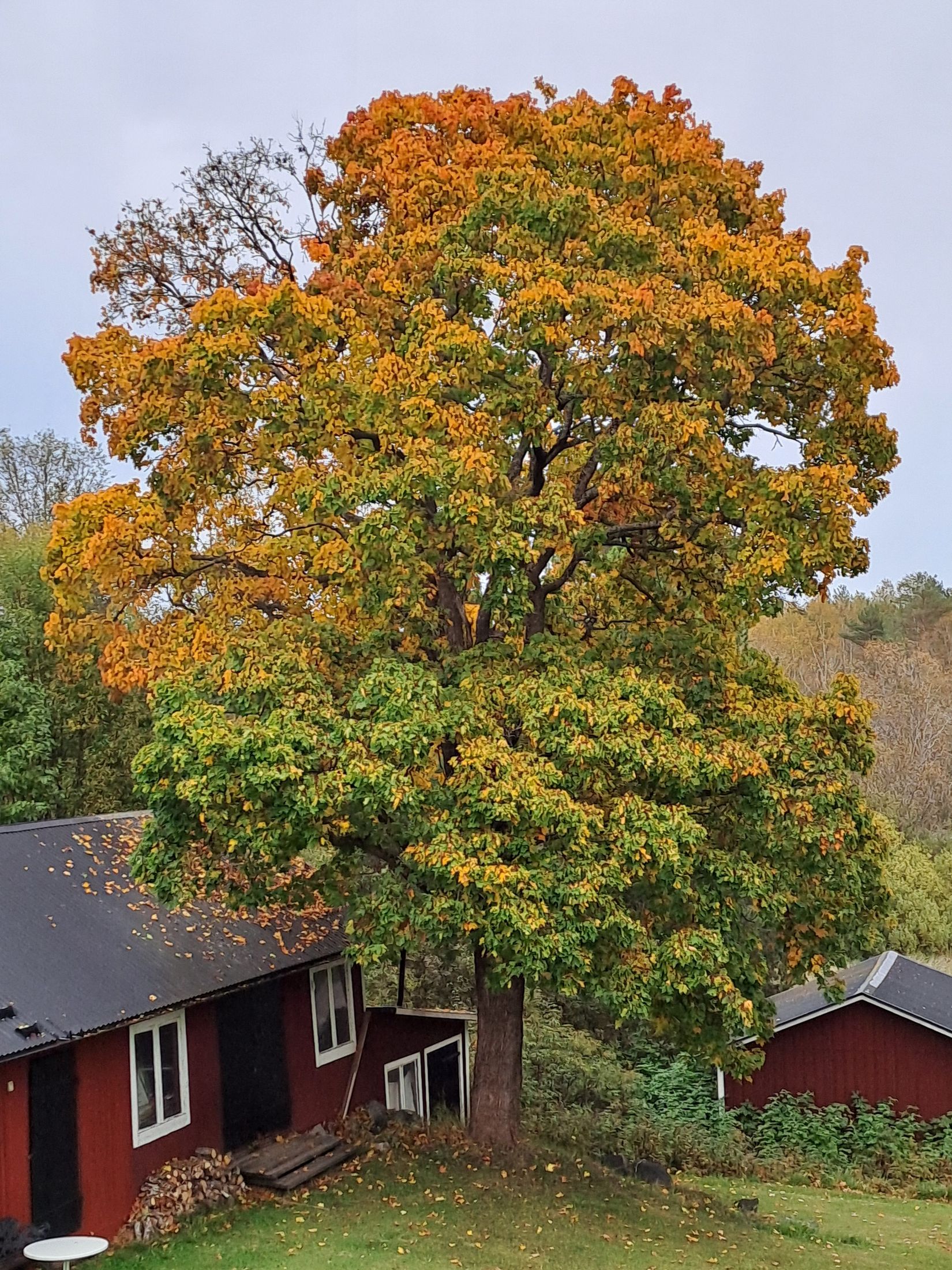 Villa, Åsvägen 1, Hästbo, Hofors