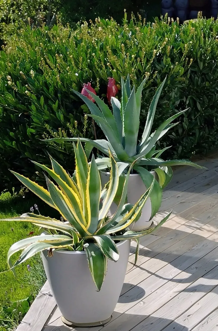 Villa, Fogdevägen 5, Stattena, Hässleholm