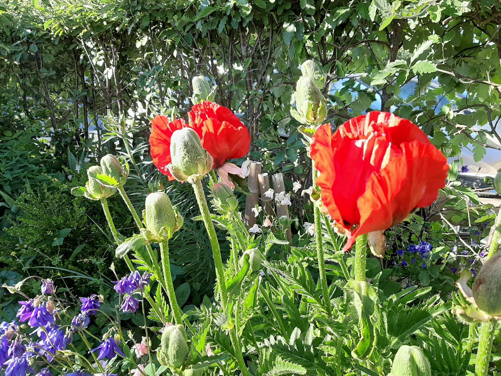 Villa, Gransätersgatan 46, Gransäter - Centralt, Norrtälje