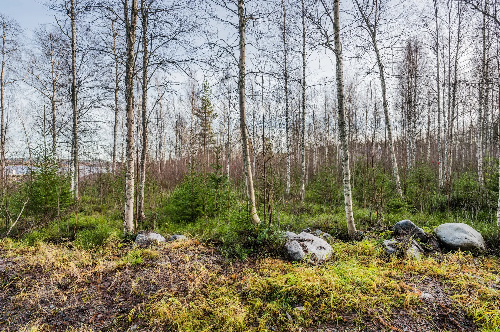 Tomt, Nötbolandet 95, Nötbolandet, Örnsköldsvik