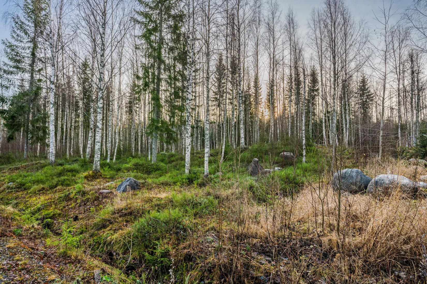 Tomt, Nötbolandet 95, Nötbolandet, Örnsköldsvik