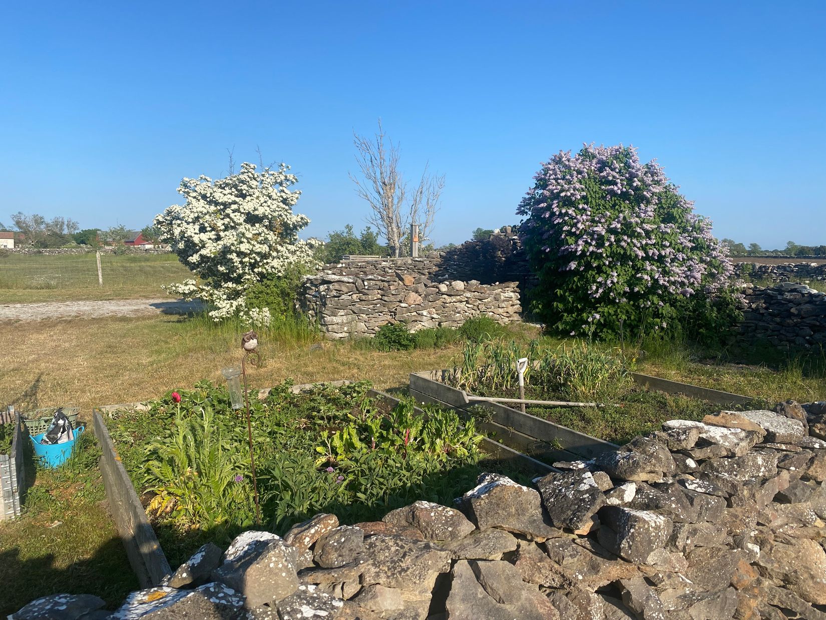 Villa, Öja Petes 503, Öja - Södra Gotland, Gotland