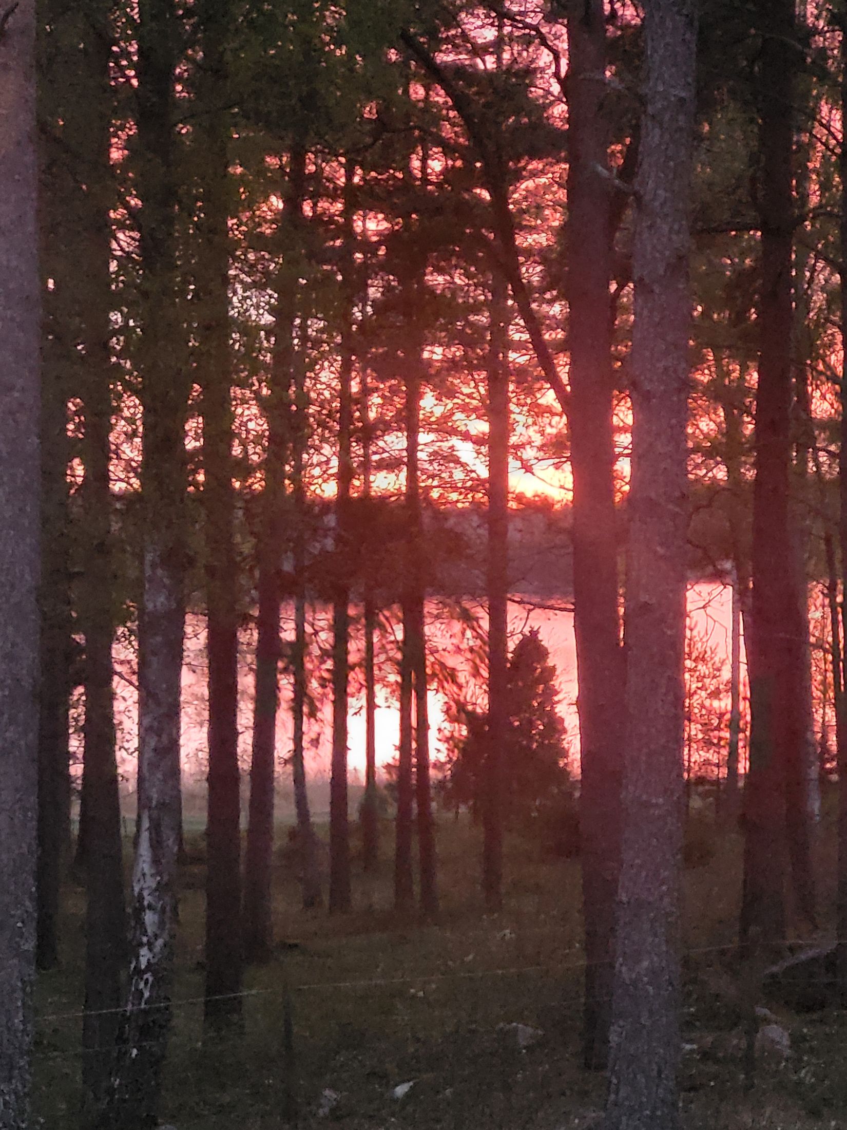 Villa, Gränsö övergård 1, Norra Finnö, Söderköping