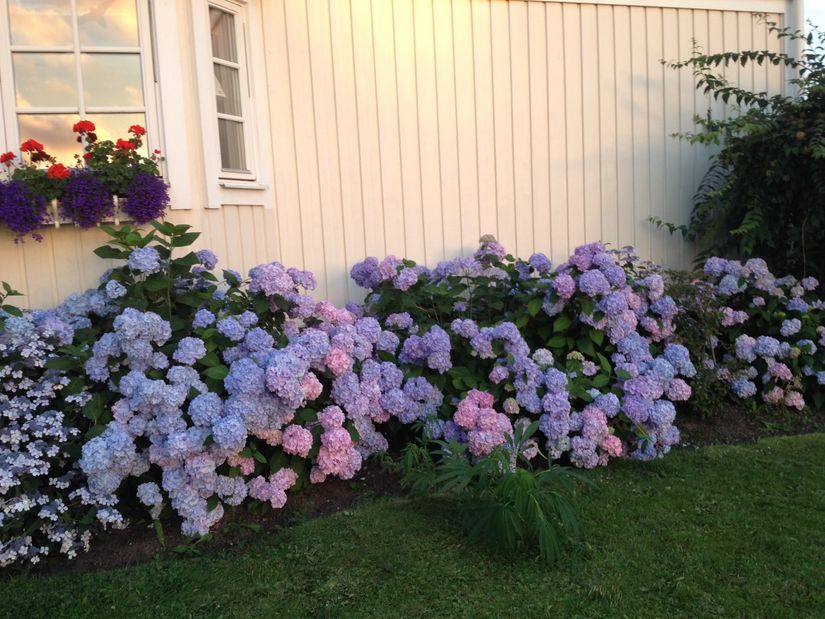 Fritidshus, Backegärdet 6, Hamburgsund, Tanum