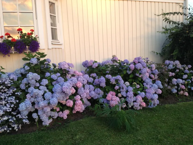 Villa, Backegärdet 6, Hamburgsund, Tanum