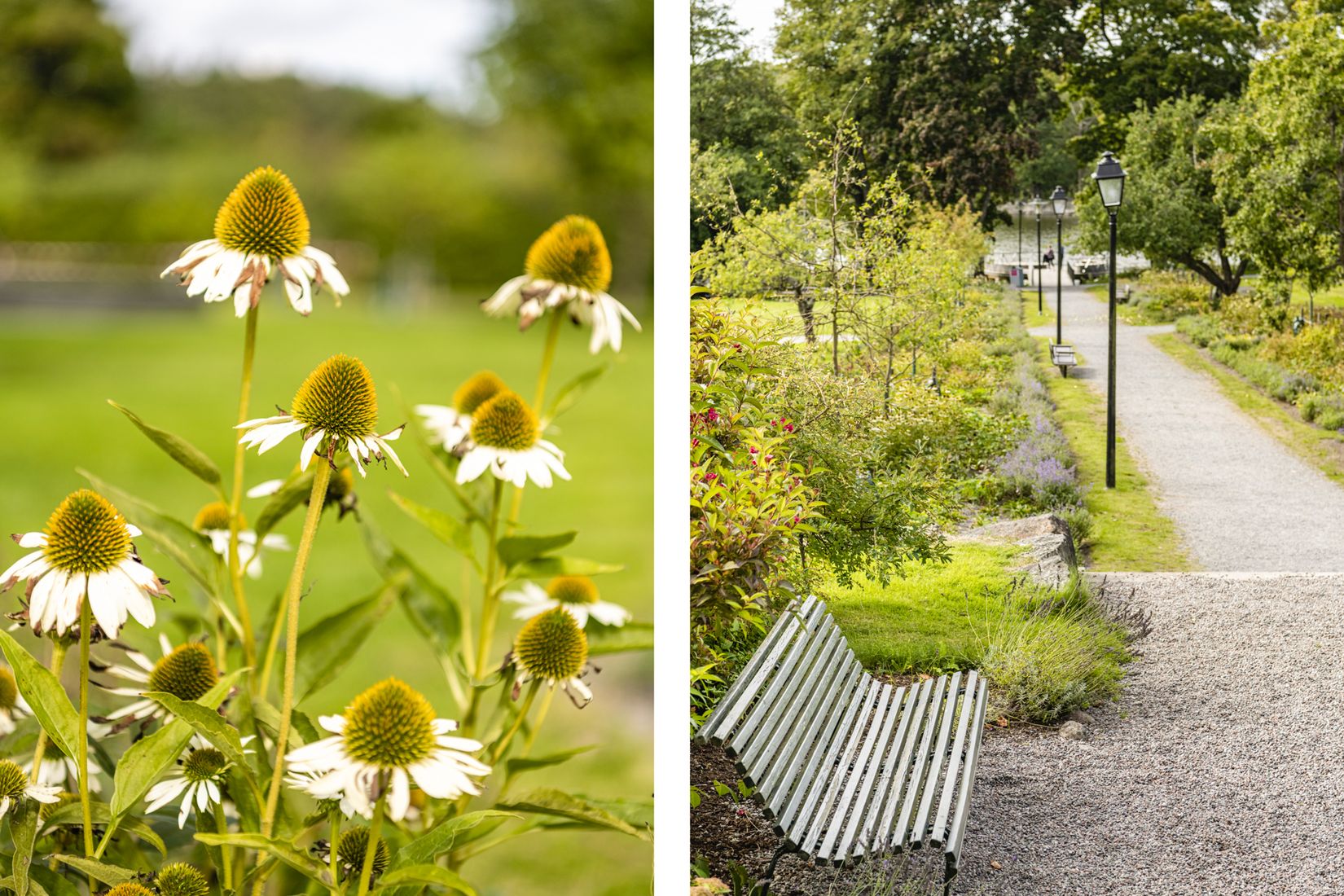 Bostadsrätt, Forshagagatan 66, Farsta, Stockholm