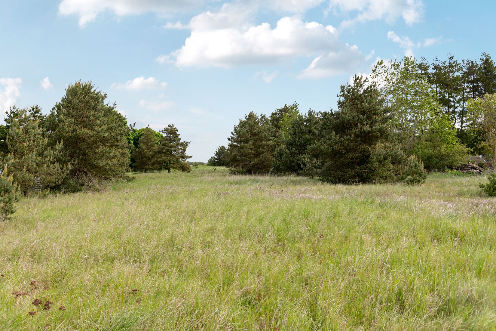Tomt, Syster Karins väg 36, Gärds Köpinge, Kristianstad