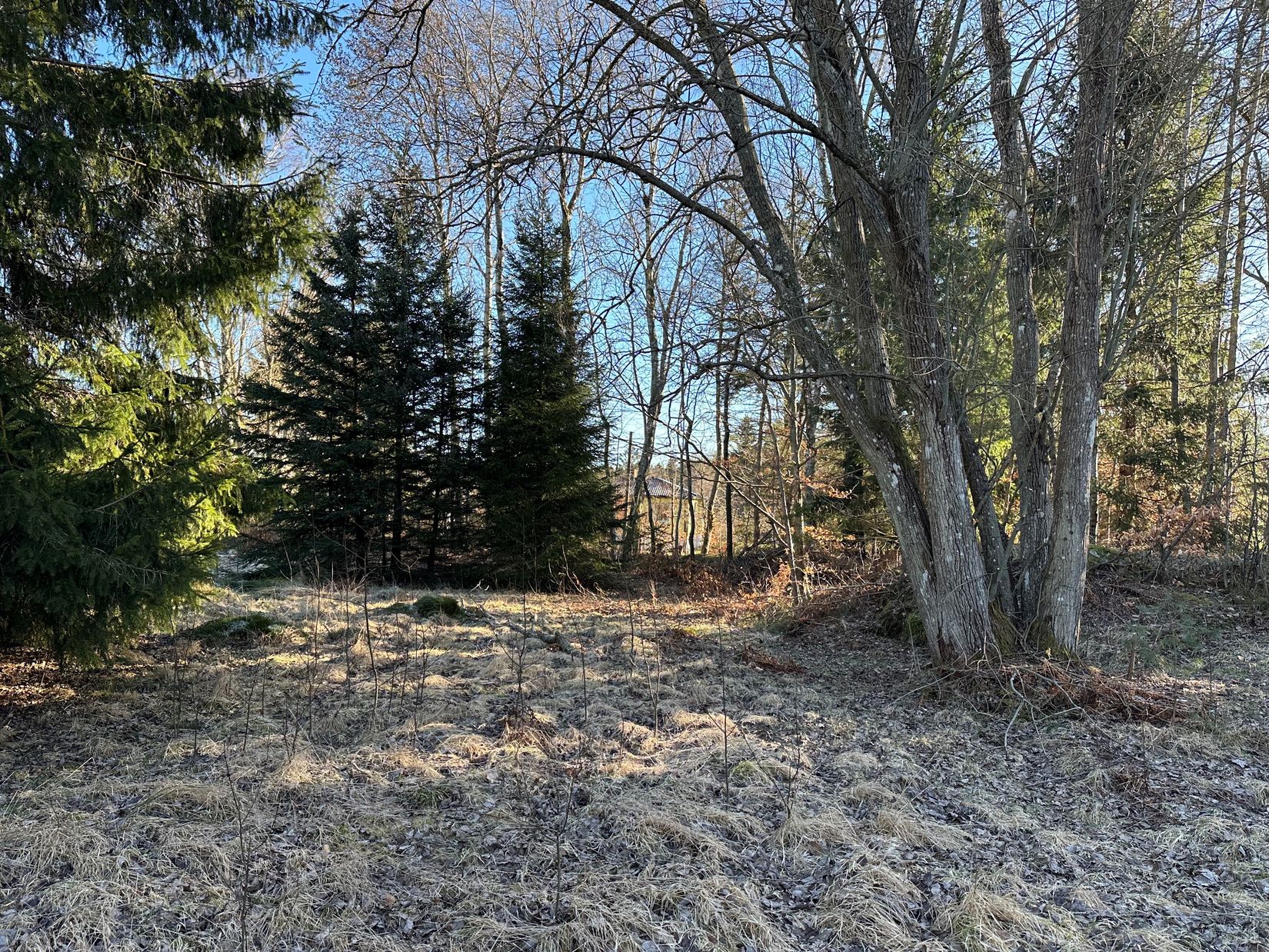 Tomt, Renfanevägen 6, Olstorp/Furuberg, Lerum