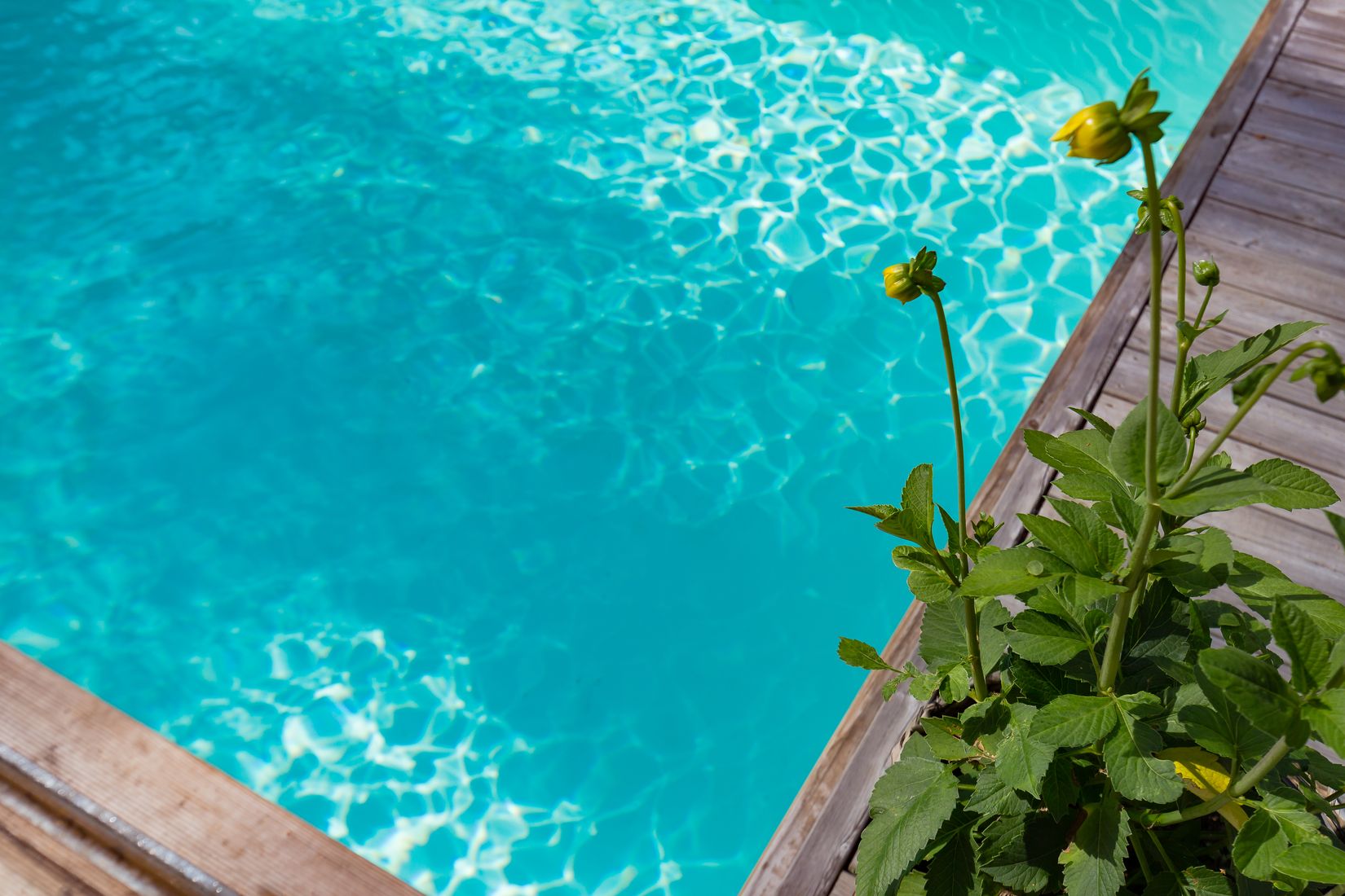 Villa, Gröndalsvägen 8, Brunn, Värmdö