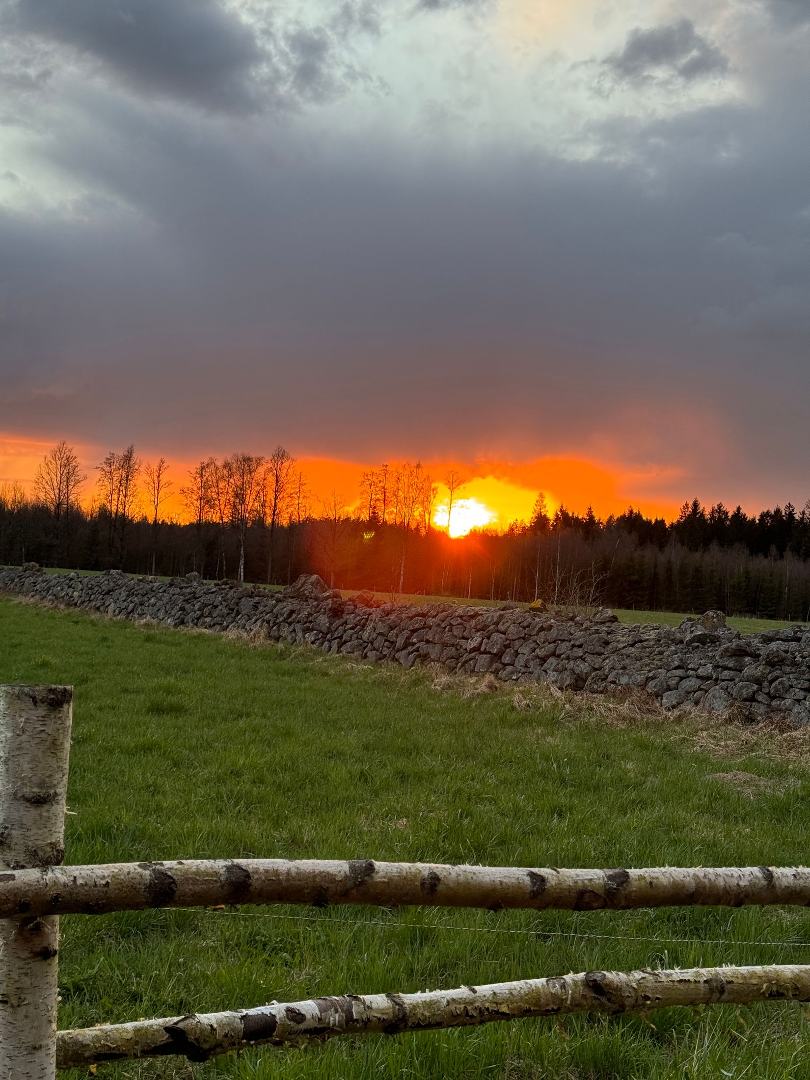 Fritidshus, Ekornarp Bengtsgård 4, Ekornarp, Ljungby