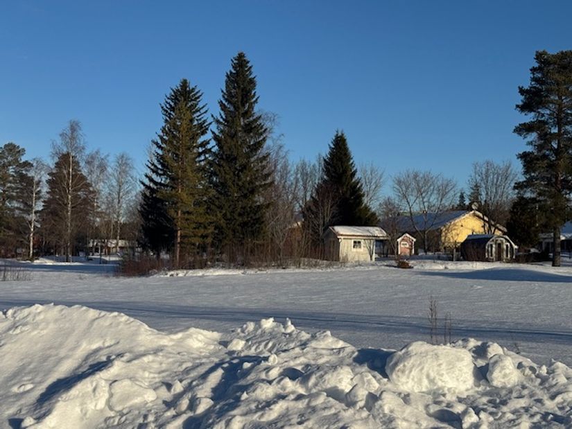 Tomt, Skravelsjö 223A, Skravelsjö, Umeå