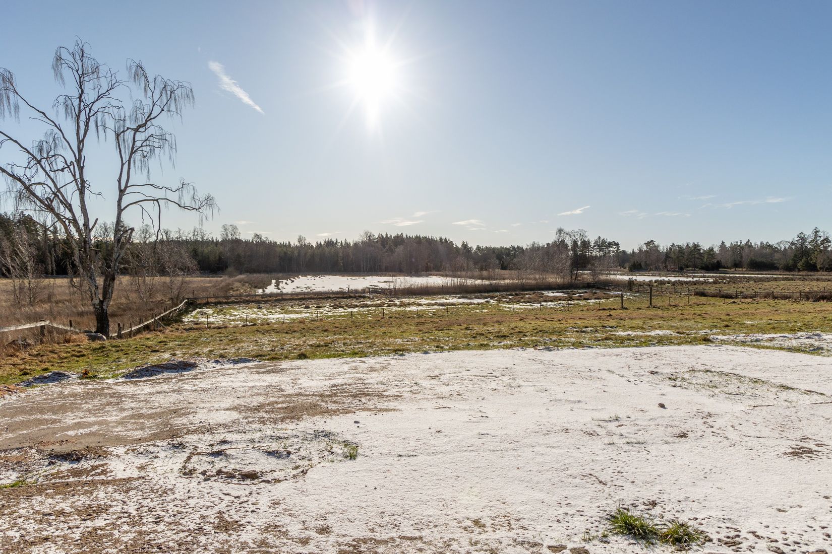 Gård/Skog, Hammarglo 204, Hammarglo, Mönsterås