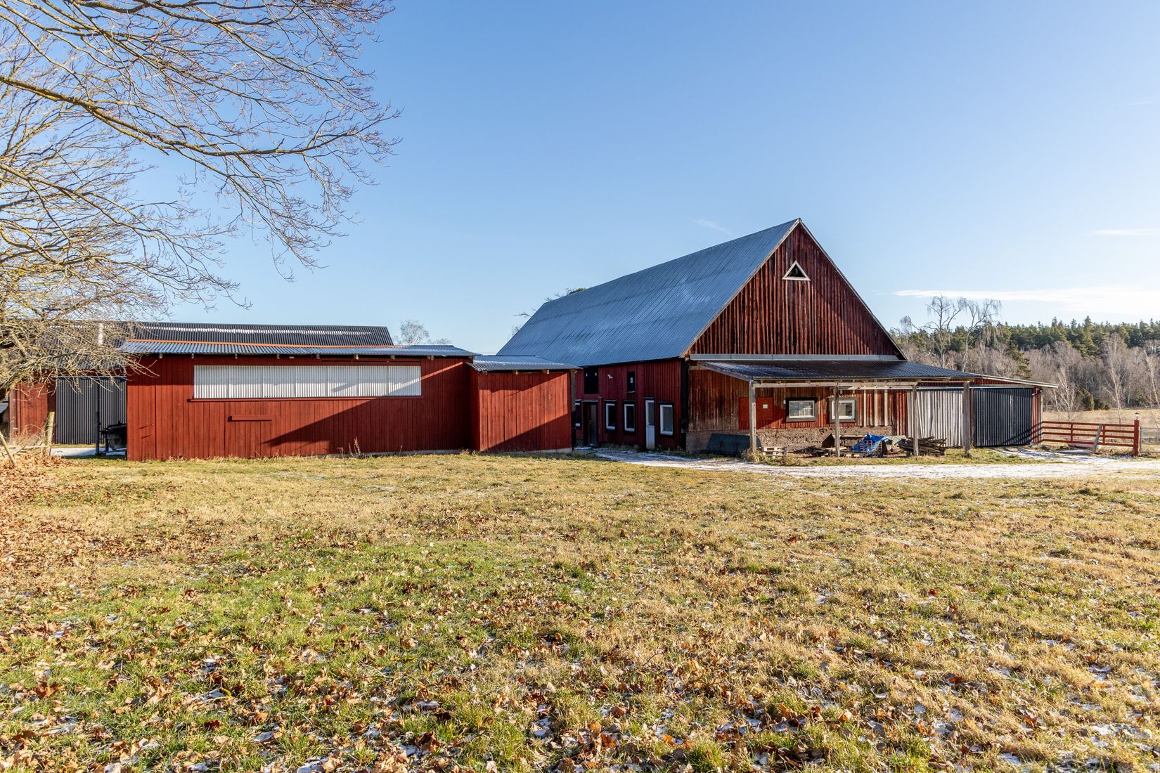 Gård/Skog, Hammarglo 204, Hammarglo, Mönsterås