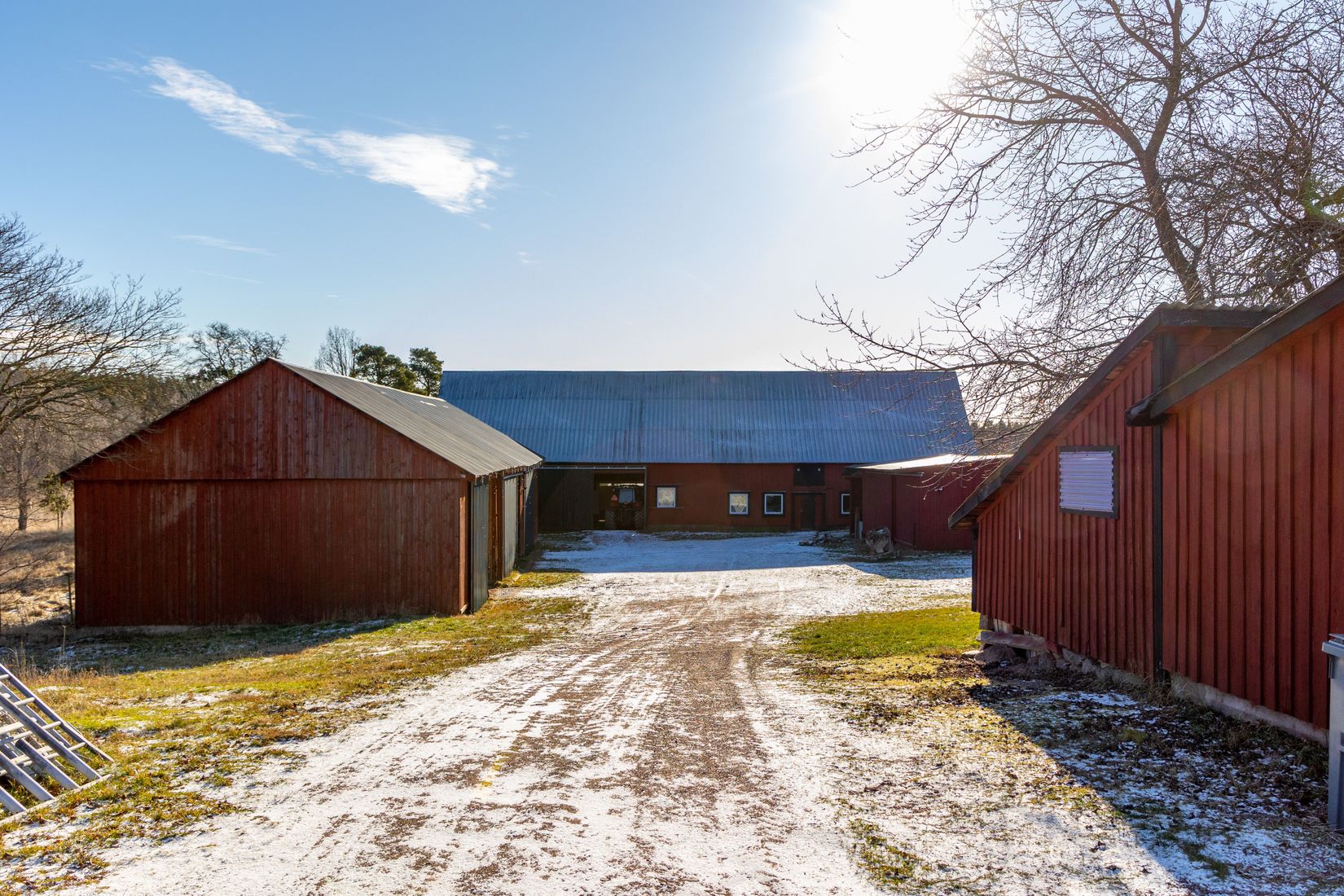 Gård/Skog, Hammarglo 204, Hammarglo, Mönsterås