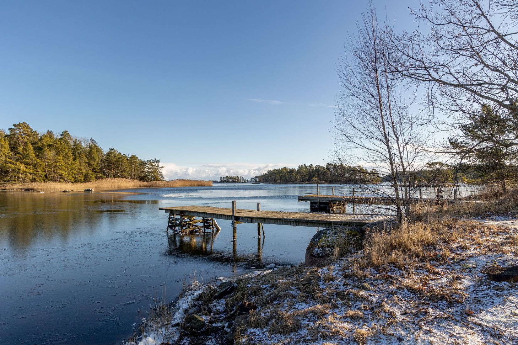Gård/Skog, Hammarglo 204, Hammarglo, Mönsterås