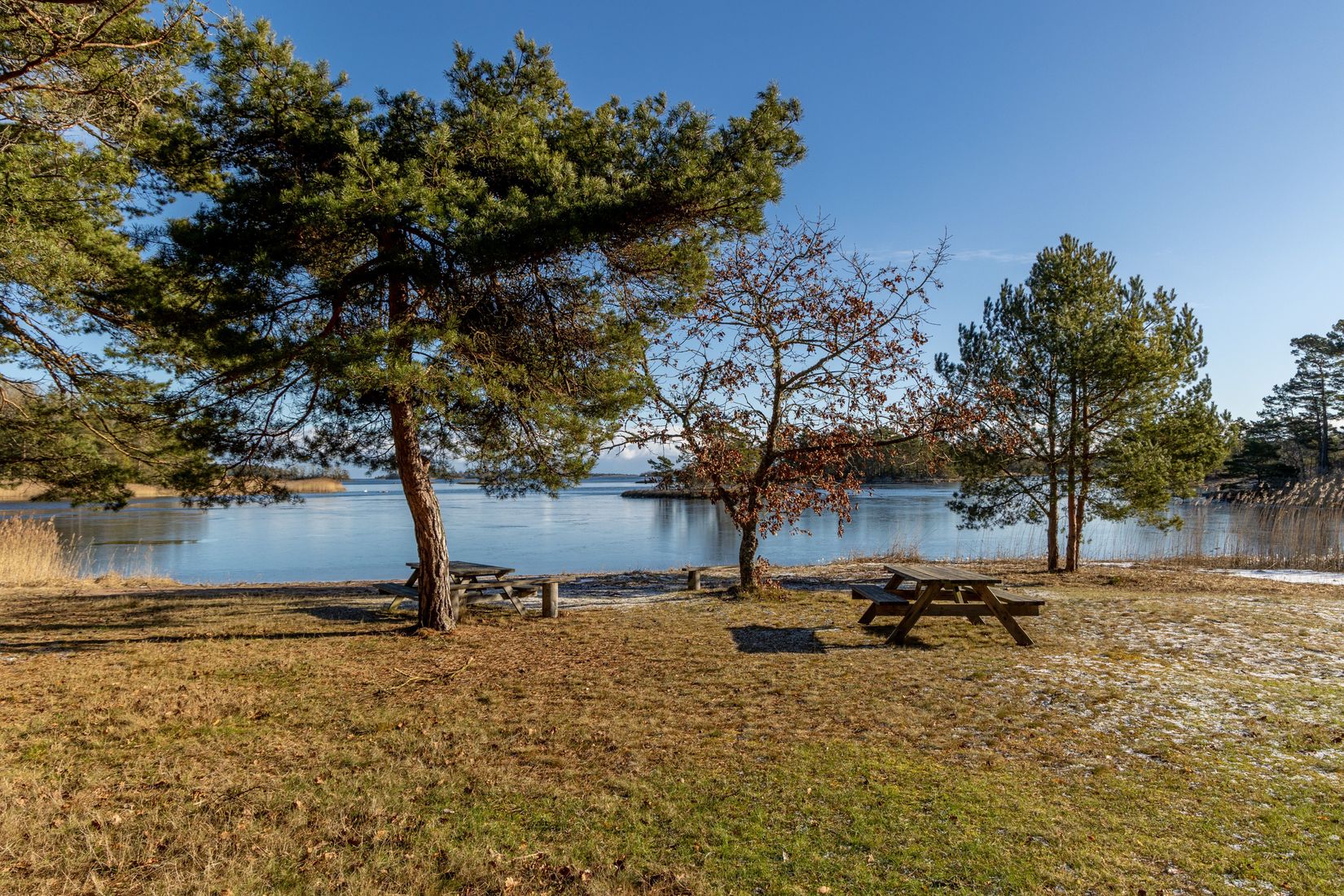 Gård/Skog, Hammarglo 204, Hammarglo, Mönsterås