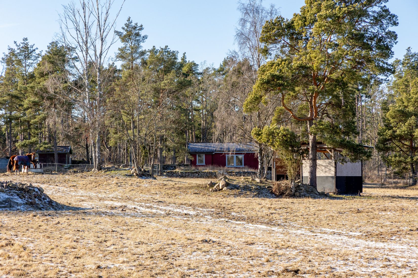 Gård/Skog, Hammarglo 204, Hammarglo, Mönsterås