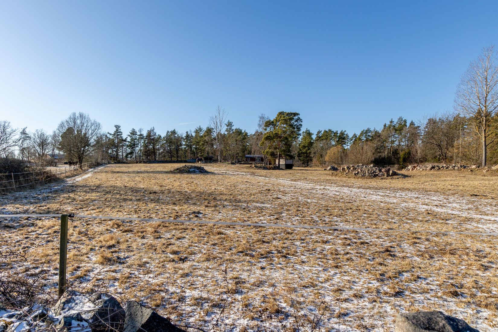 Gård/Skog, Hammarglo 204, Hammarglo, Mönsterås