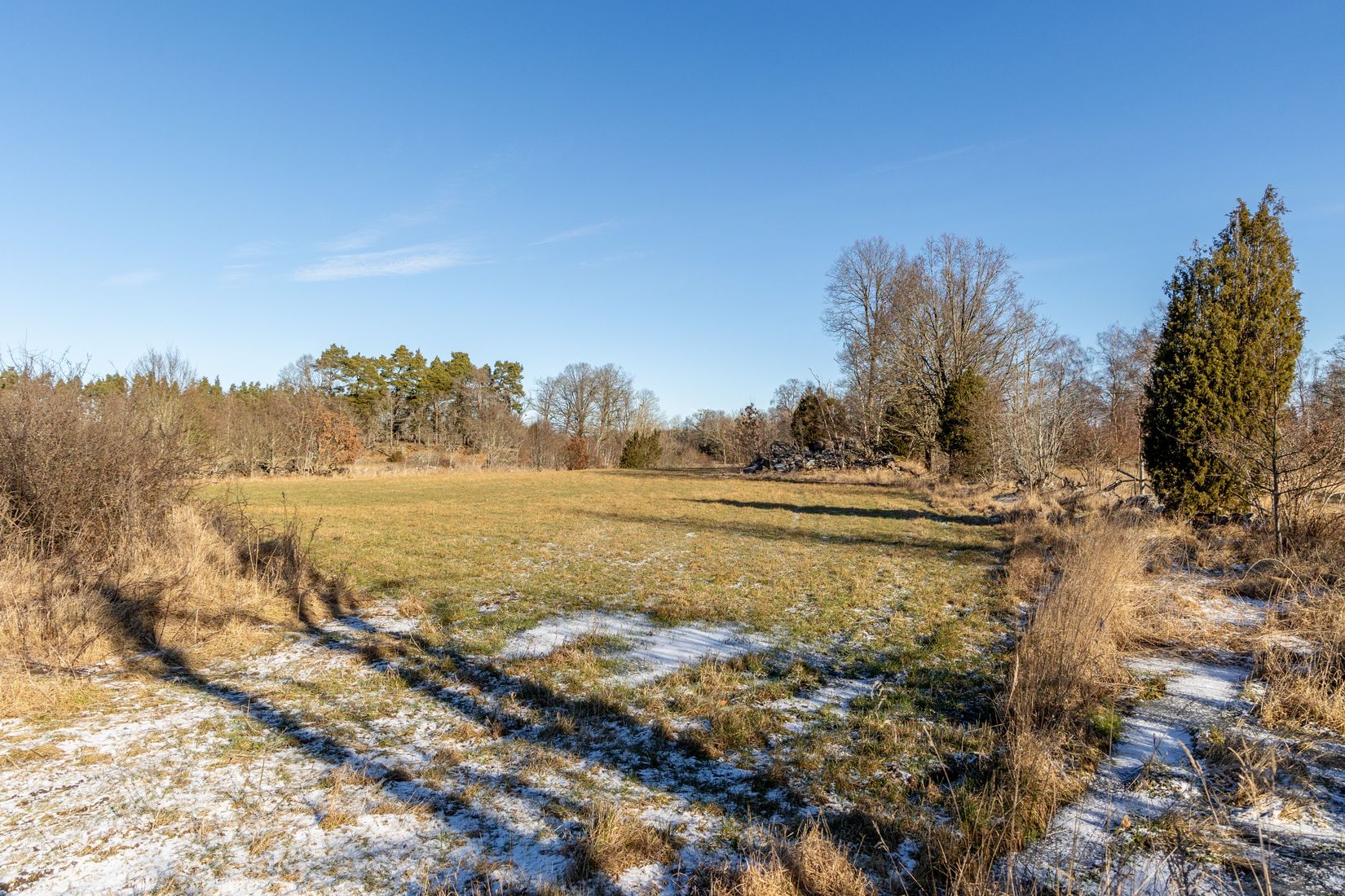 Gård/Skog, Hammarglo 204, Hammarglo, Mönsterås