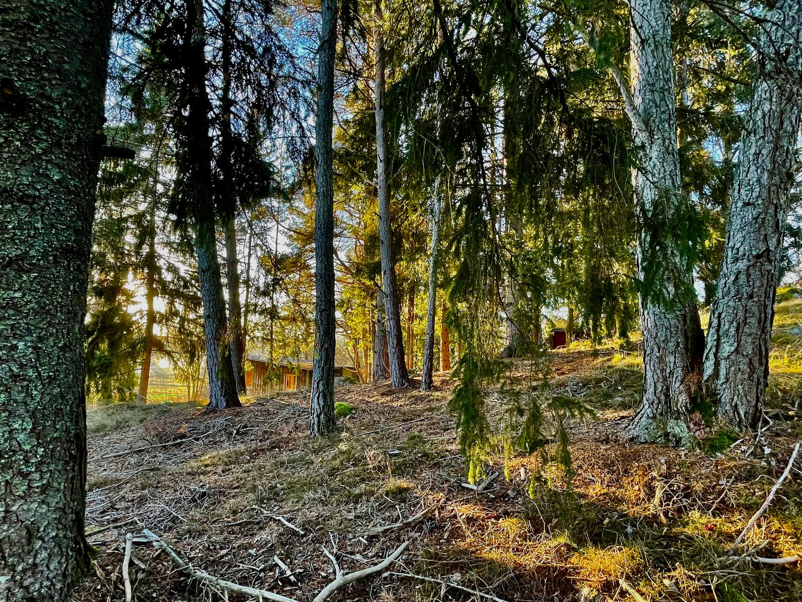 Tomt, Hamre 225, Husby-Långhundra, Knivsta
