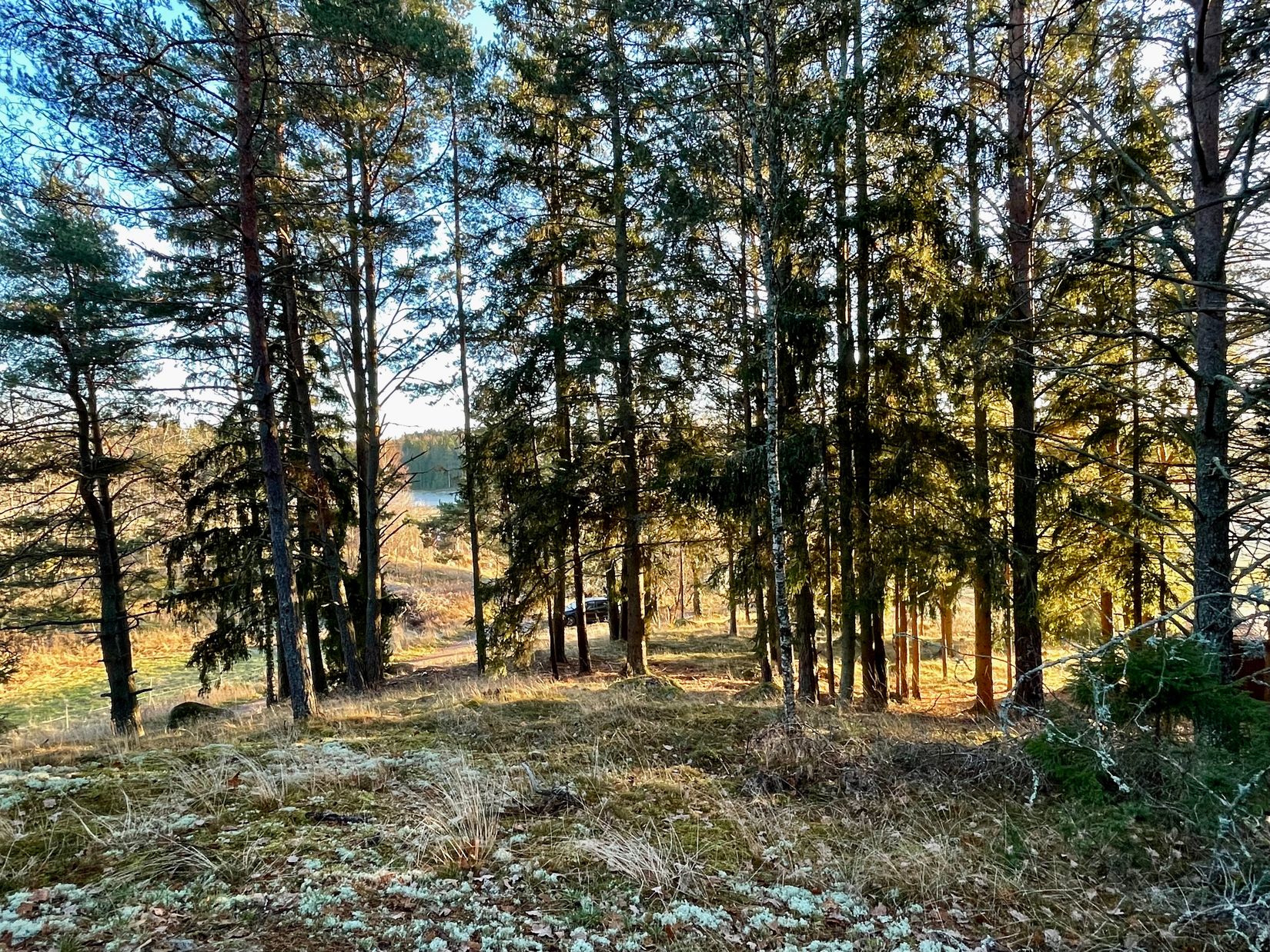Tomt, Hamre 225, Husby-Långhundra, Knivsta
