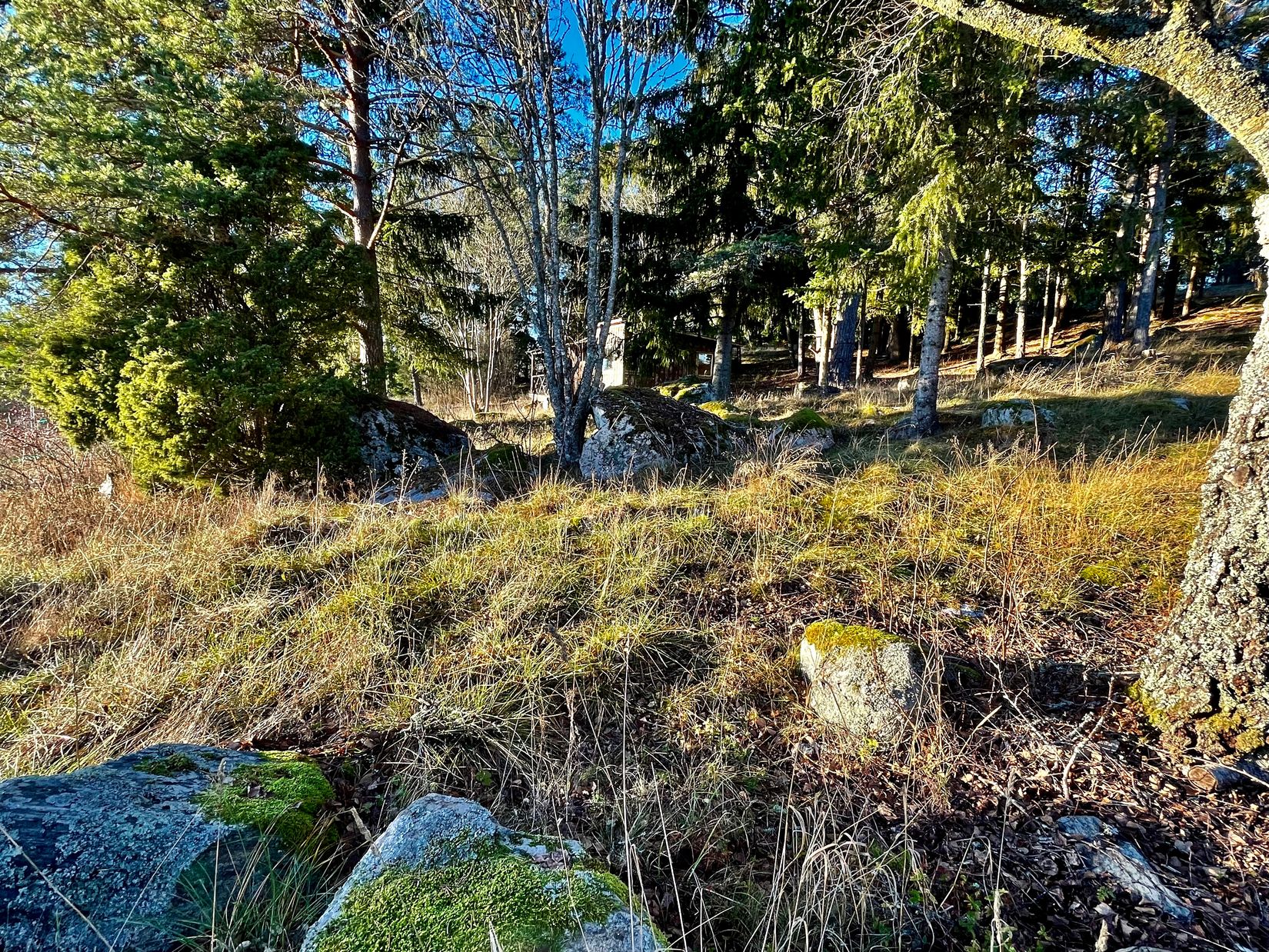 Tomt, Hamre 225, Husby-Långhundra, Knivsta