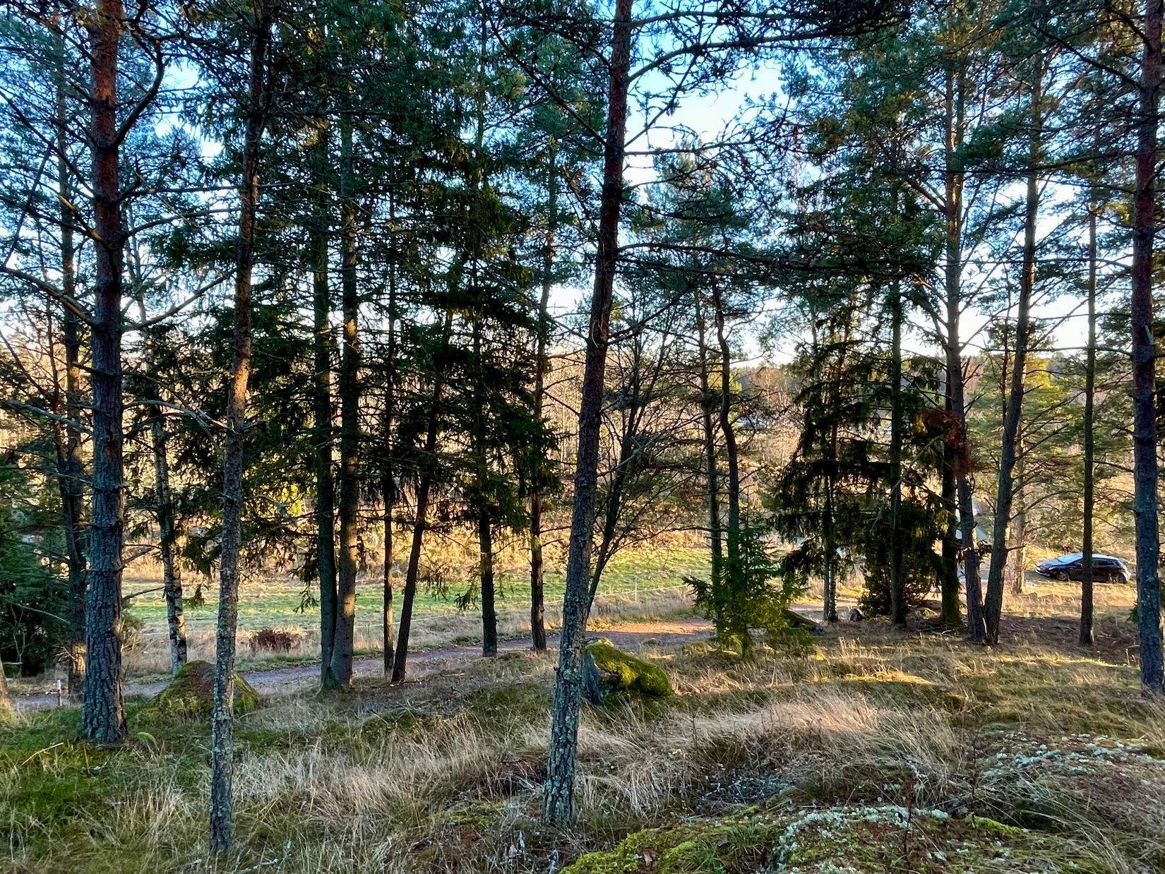 Tomt, Hamre 225, Husby-Långhundra, Knivsta