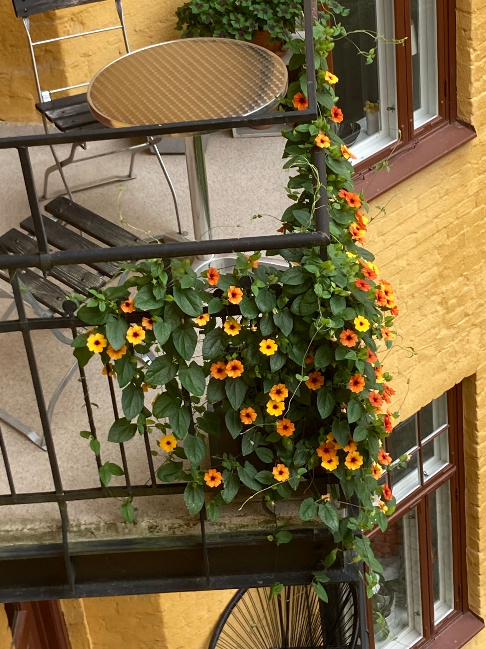 Bostadsrätt, Klostergatan 10, Vasastaden/centralt, Linköping