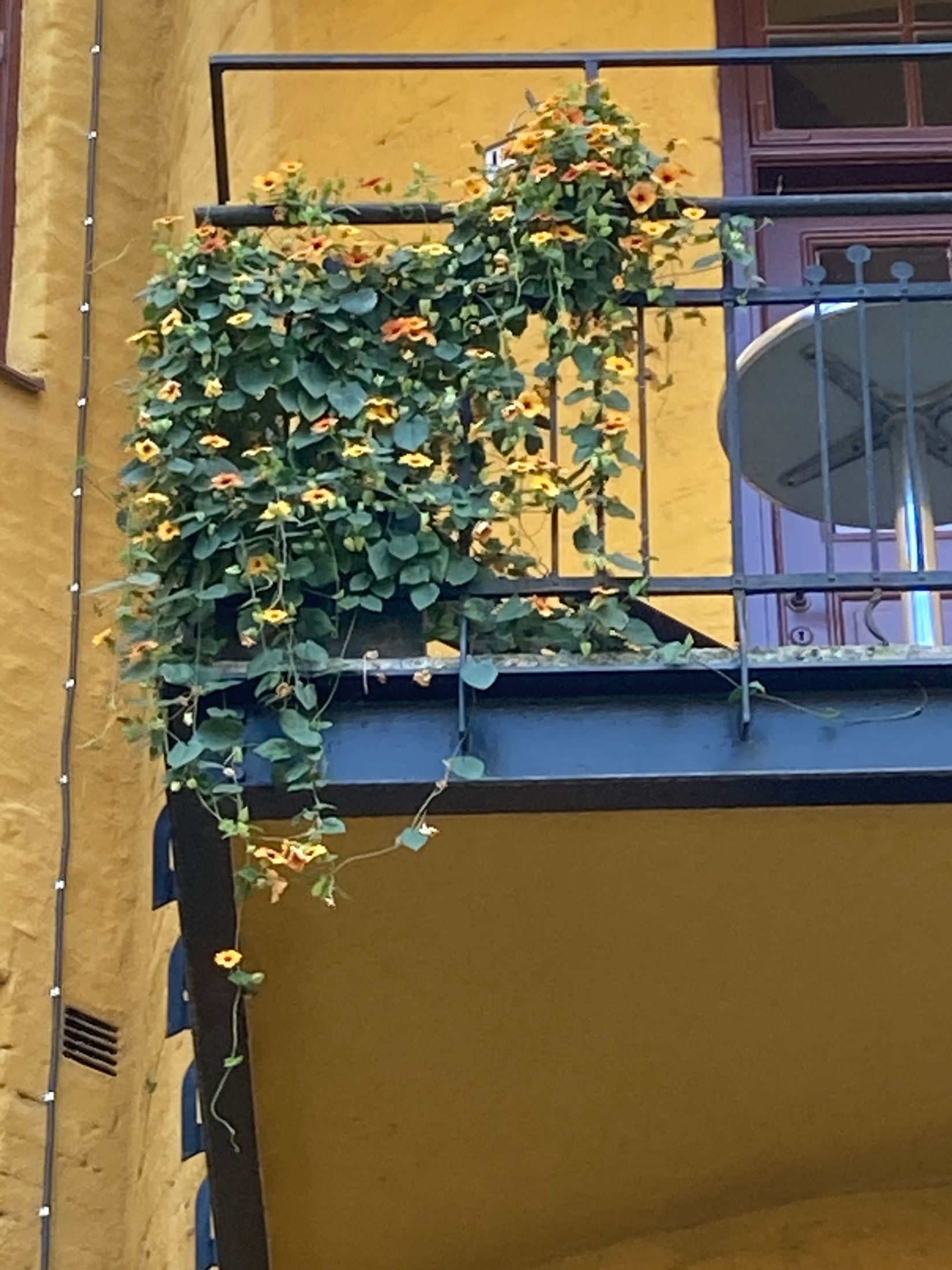 Bostadsrätt, Klostergatan 10, Vasastaden/centralt, Linköping