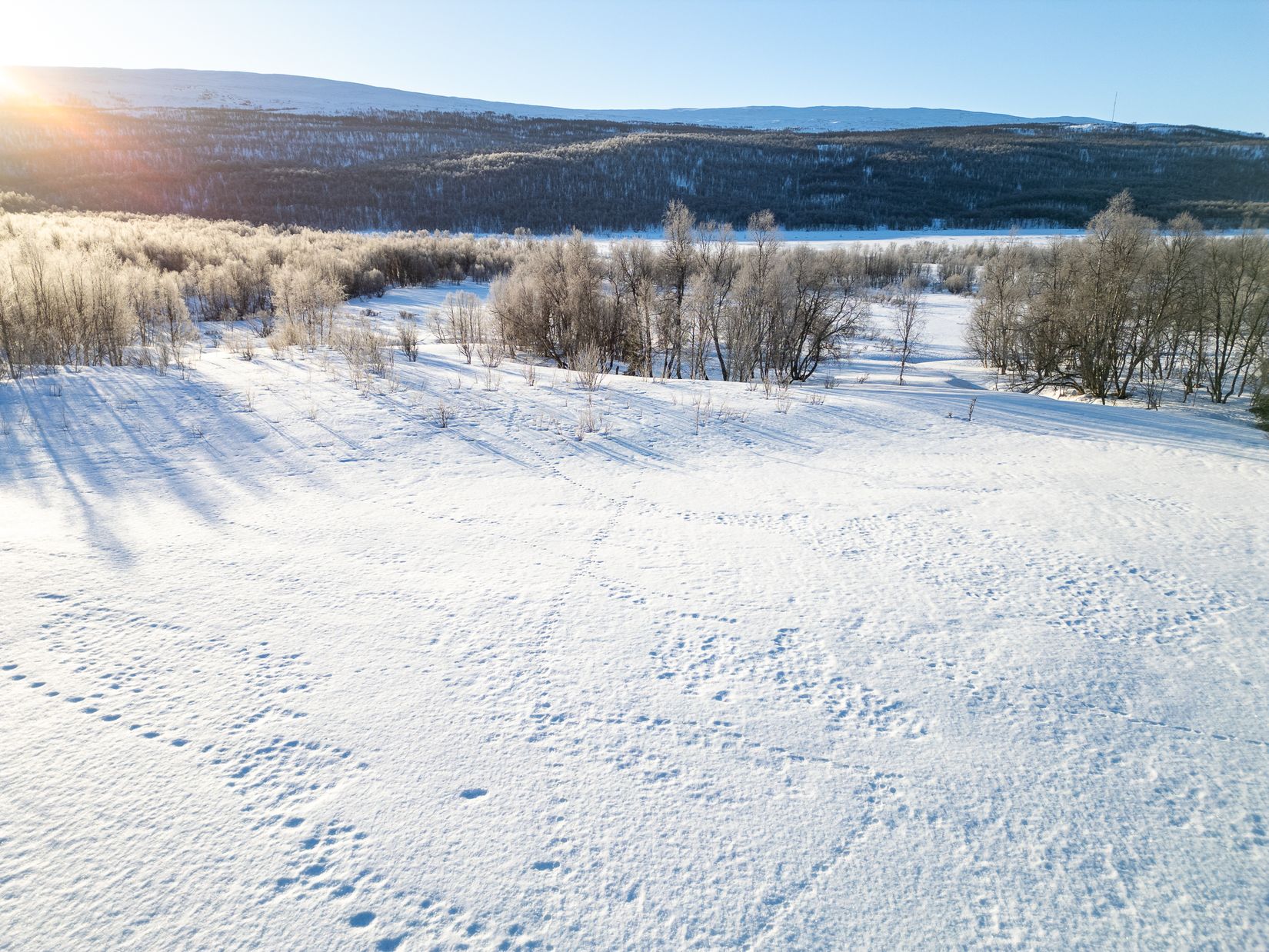 Tomt, Ström Farmen 205, Joesjö, Storuman