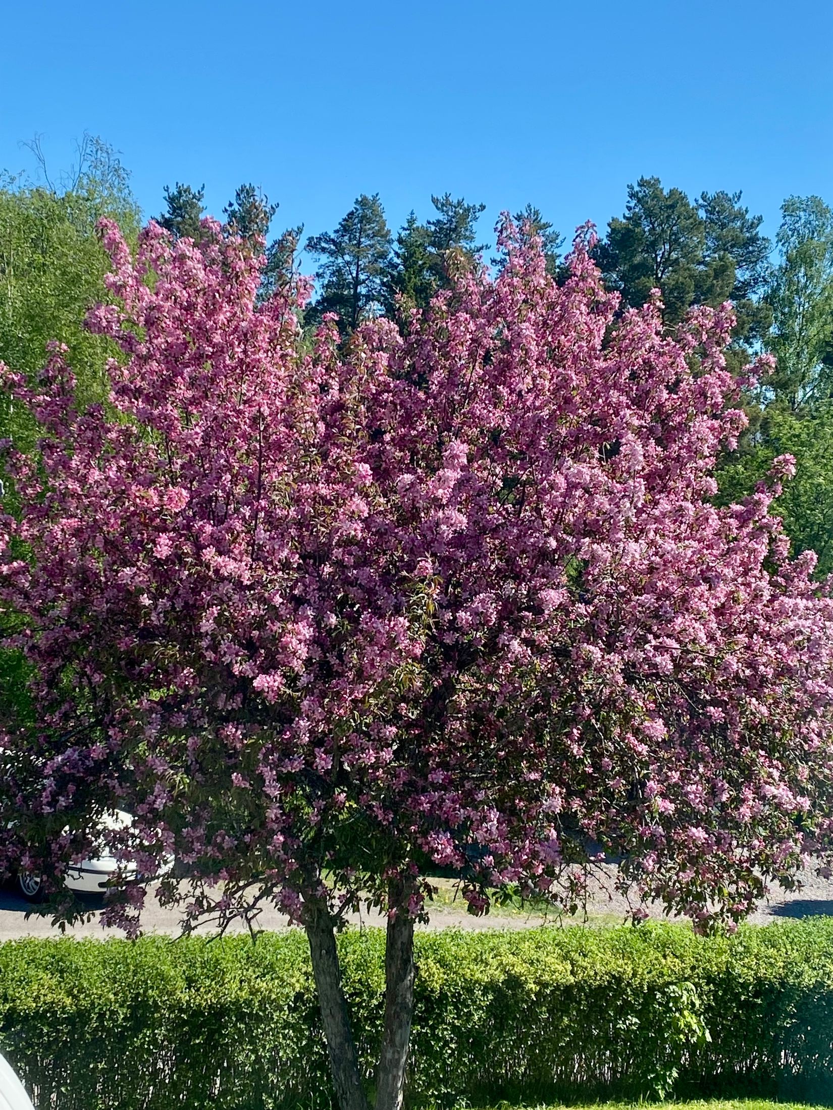 Villa, Vimmelmoravägen 3A, Gamla Berget, Falun
