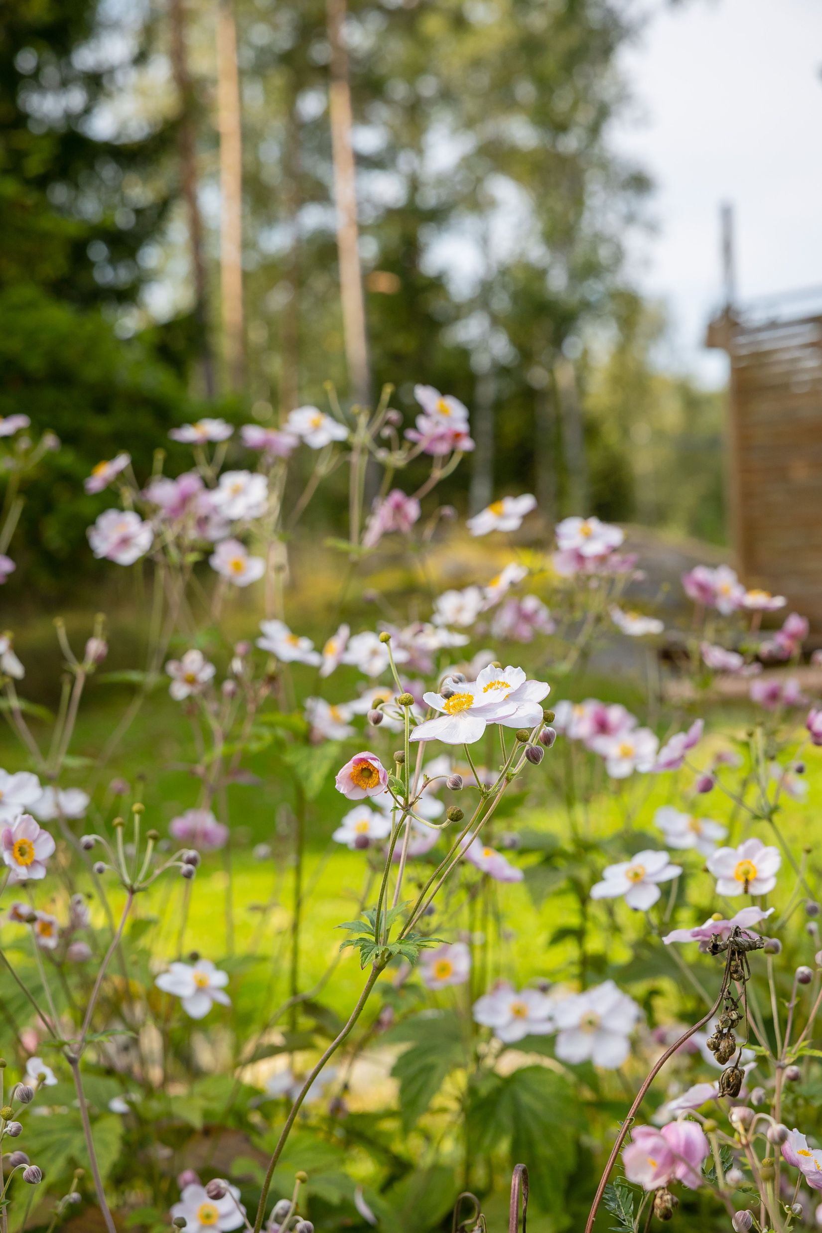 Villa, Söderängsvägen 6, Sandika Övre , Östhammar