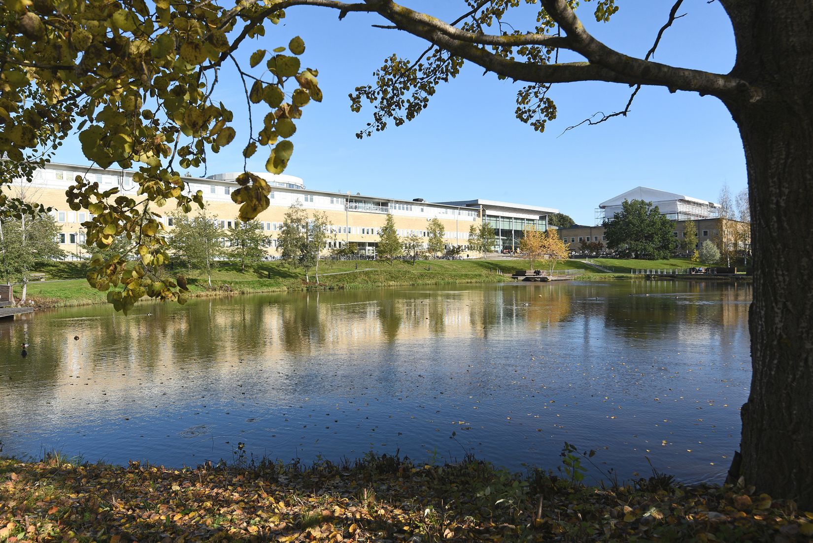 Bostadsrätt, Skidspåret 17, Berghem, Umeå