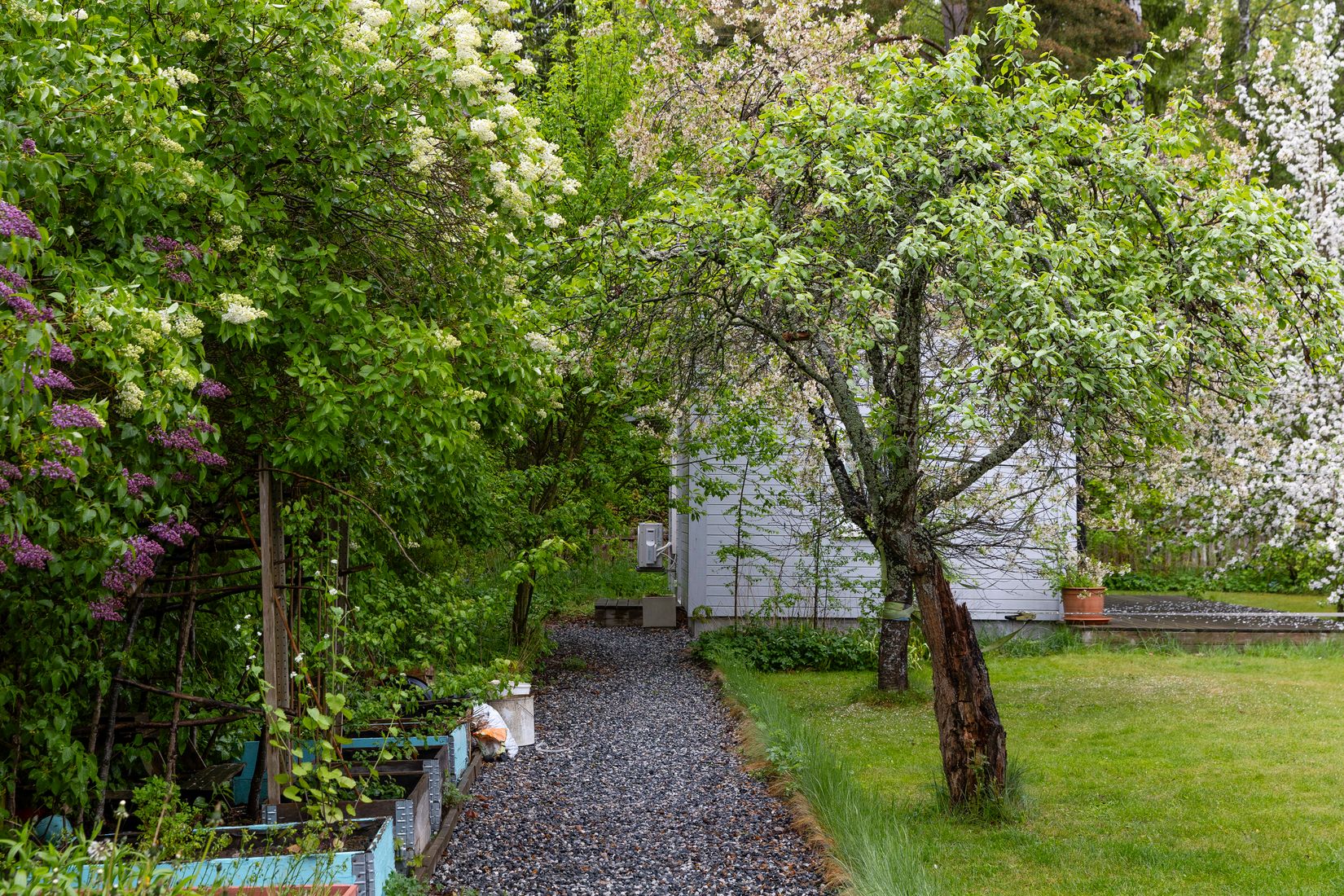 Bostadsrätt, Cedervägen 7, Fågelsången, Sollentuna