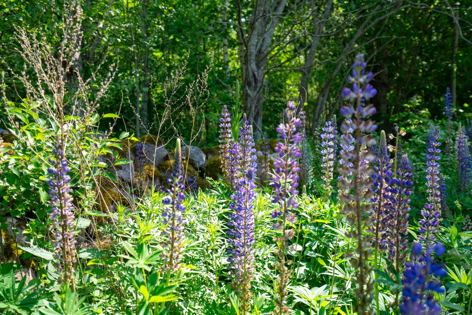 Övrigt, Dyrenäs 18, Vristulven, Mariestad