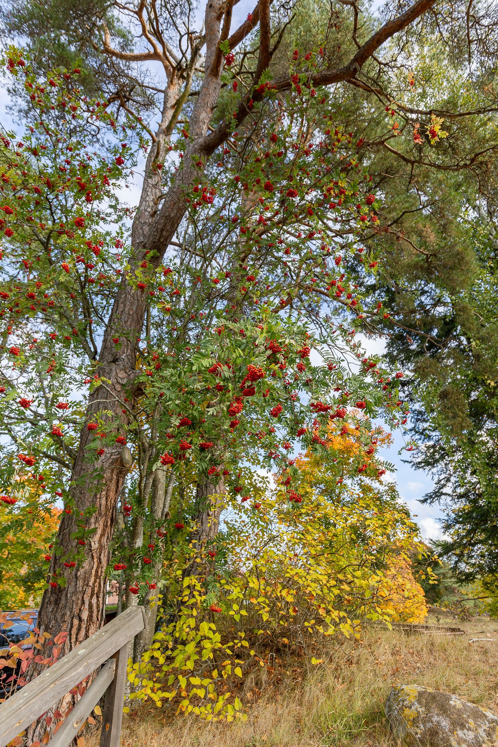 Villa, Björsund Tomtbacken 140, Björsund, Strängnäs