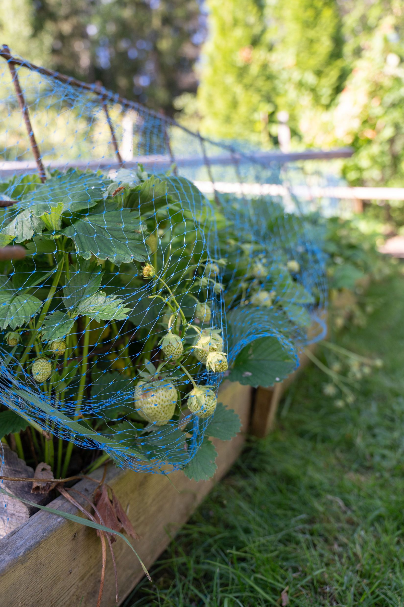 Villa, Danmarks-Söderby 168, Danmark, Uppsala