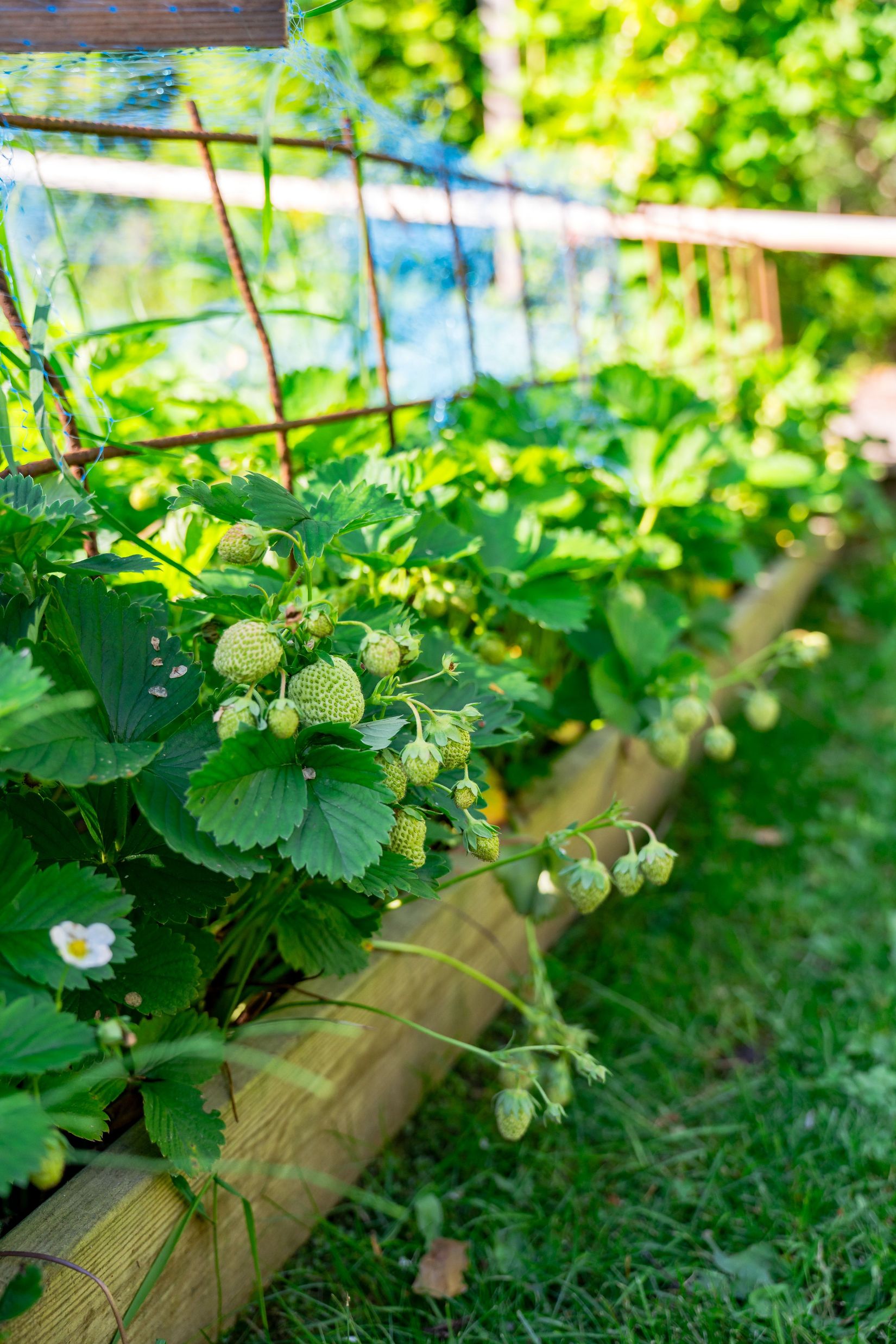 Villa, Danmarks-Söderby 168, Danmark, Uppsala