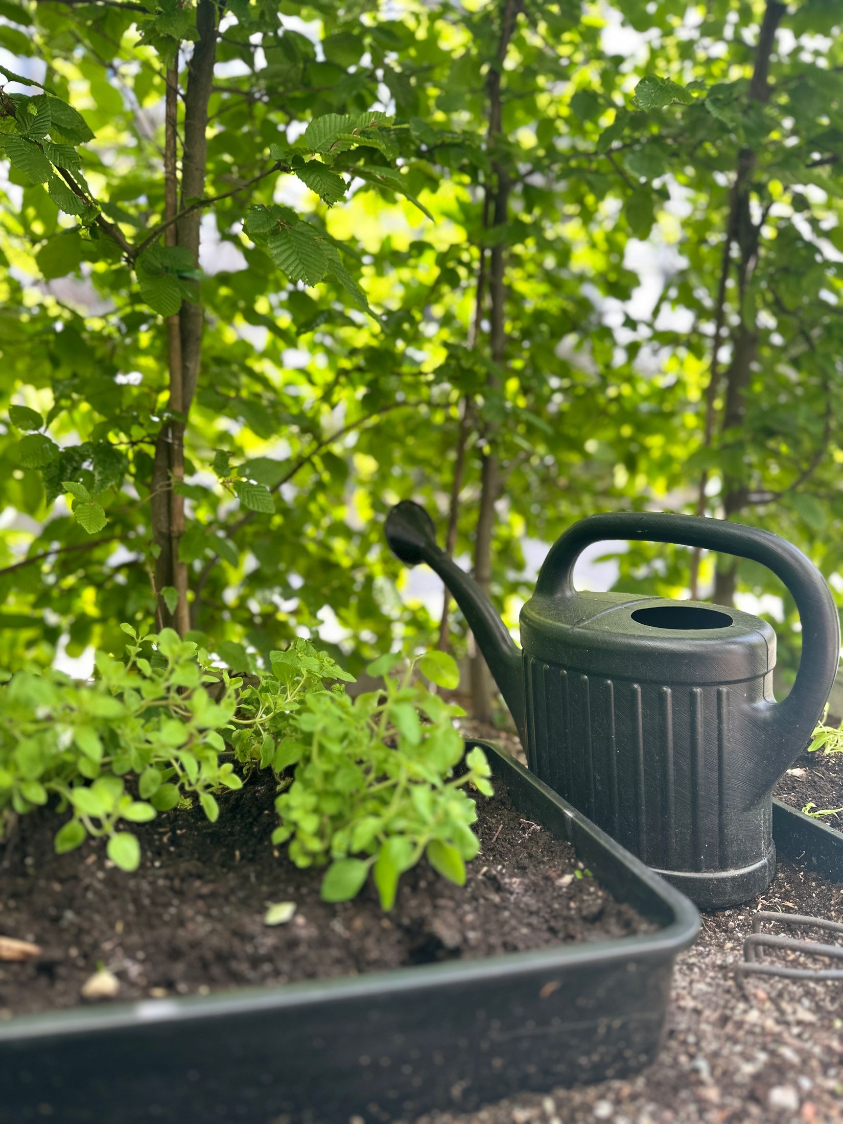 Bostadsrätt, Finn Malmgrens Väg 2, Hammarbyhöjden, Stockholm