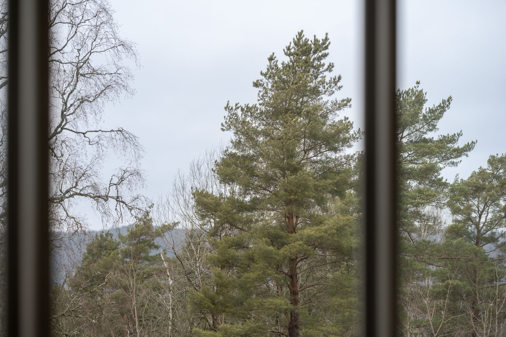 Bostadsrätt, Döbelnsgatan 114C, Norrmalm, Borås