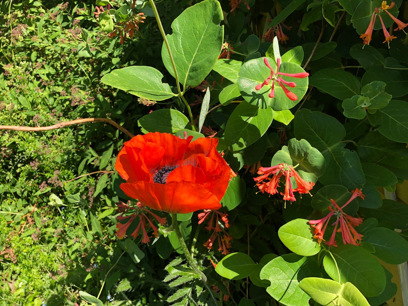 Radhus, Småbjörksvägen 49, Spånga Bromsten, Stockholm