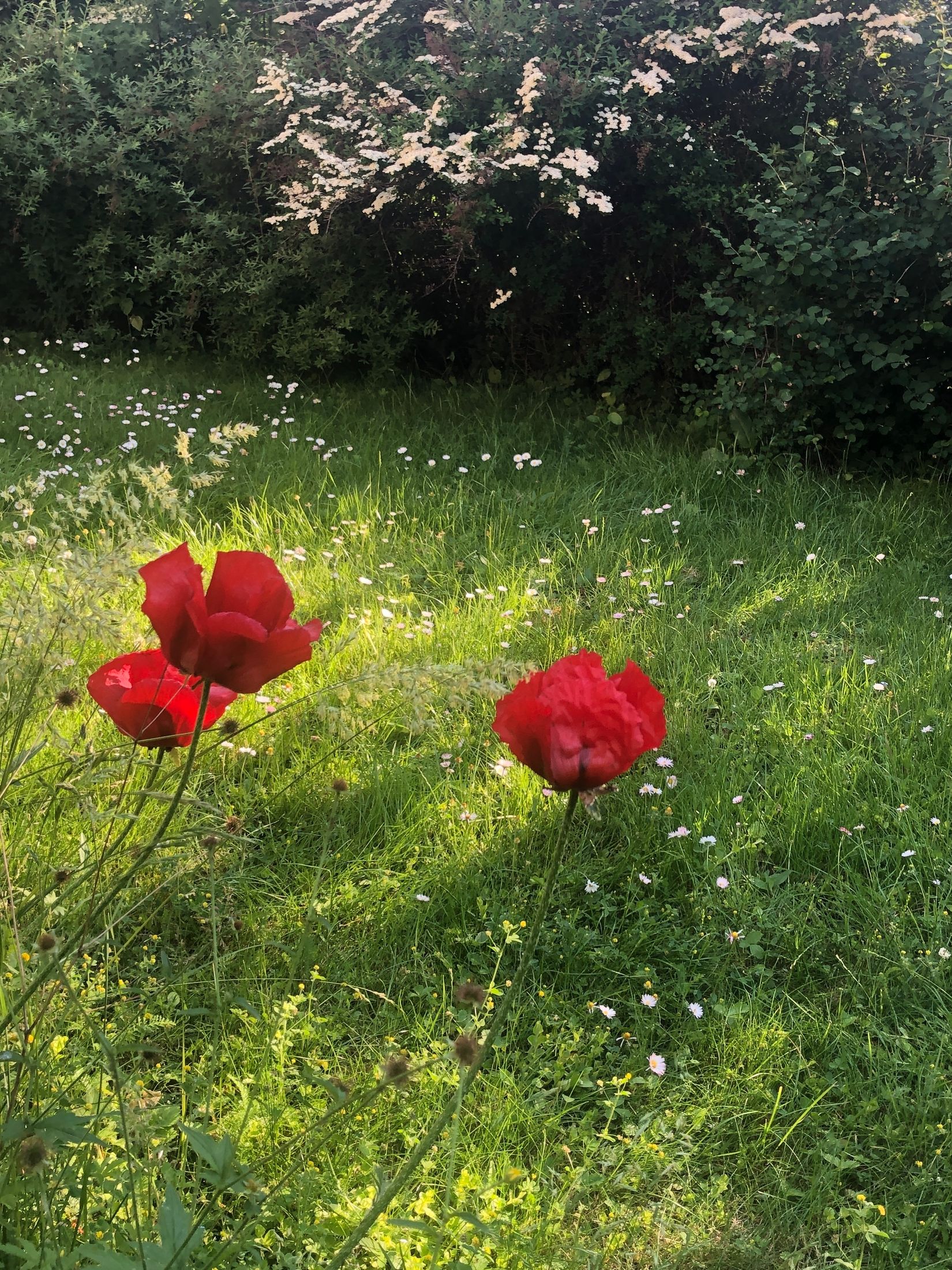 Radhus, Småbjörksvägen 49, Spånga Bromsten, Stockholm