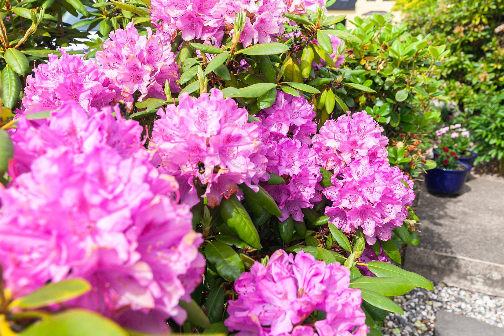 Villa, Svarvaregatan 3, Höganäs