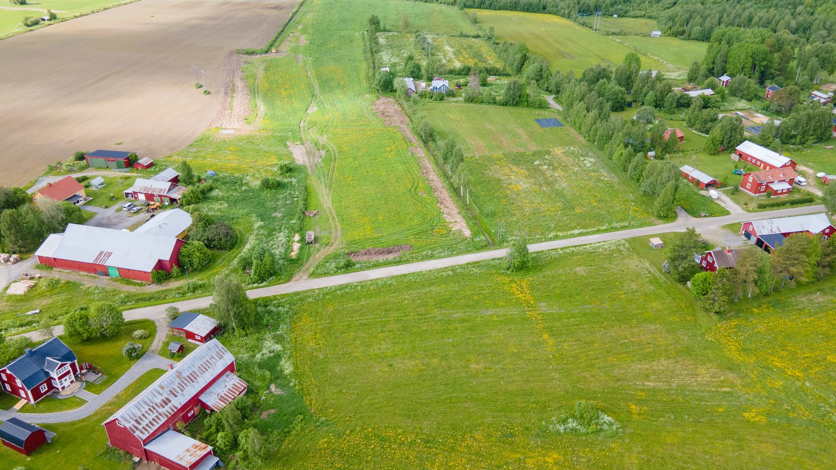 Tomt, Brån, Brån, Vännäs