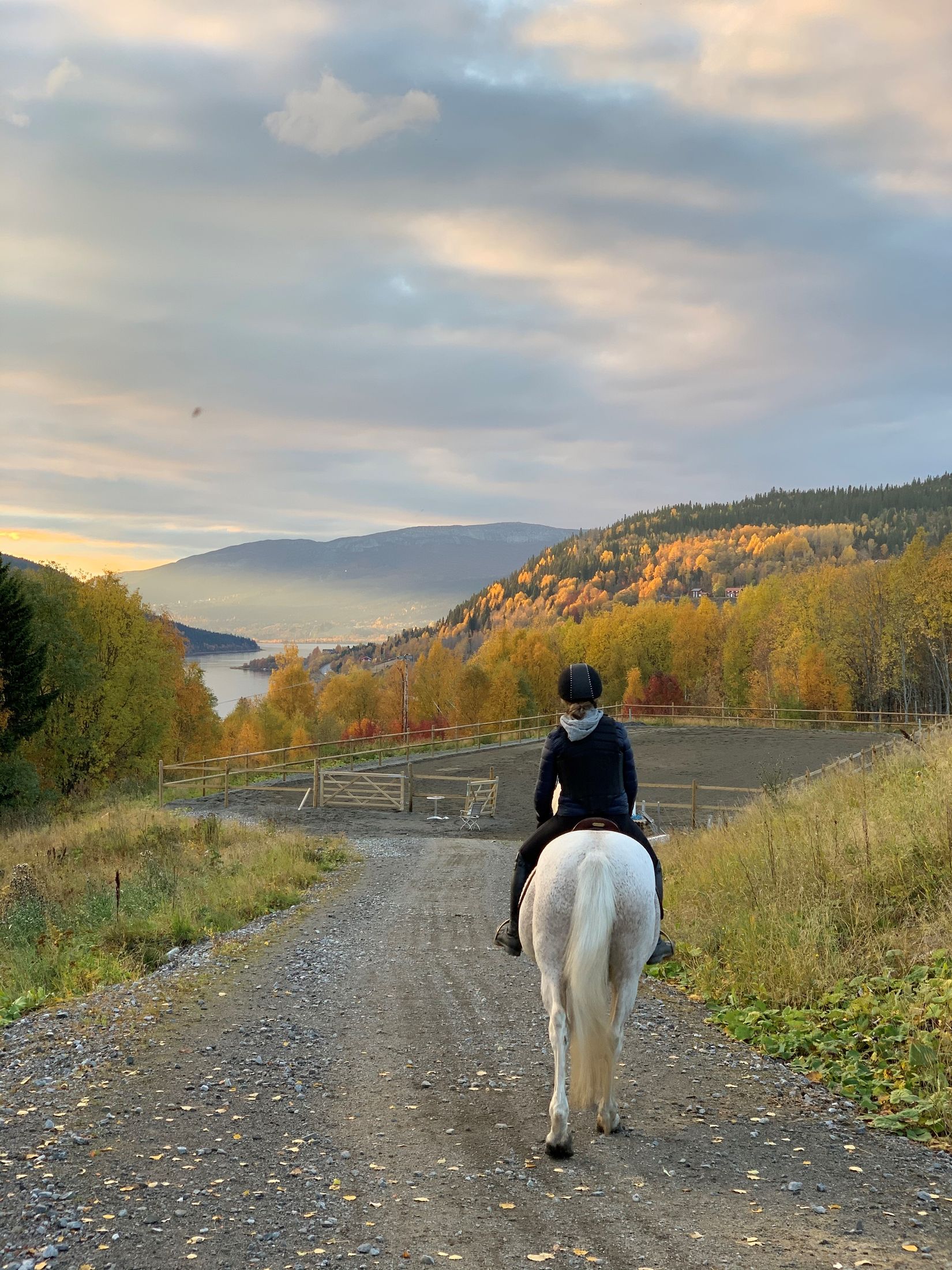 Tomt, Brattland, Björnänge/Såå/Brattland, Åre